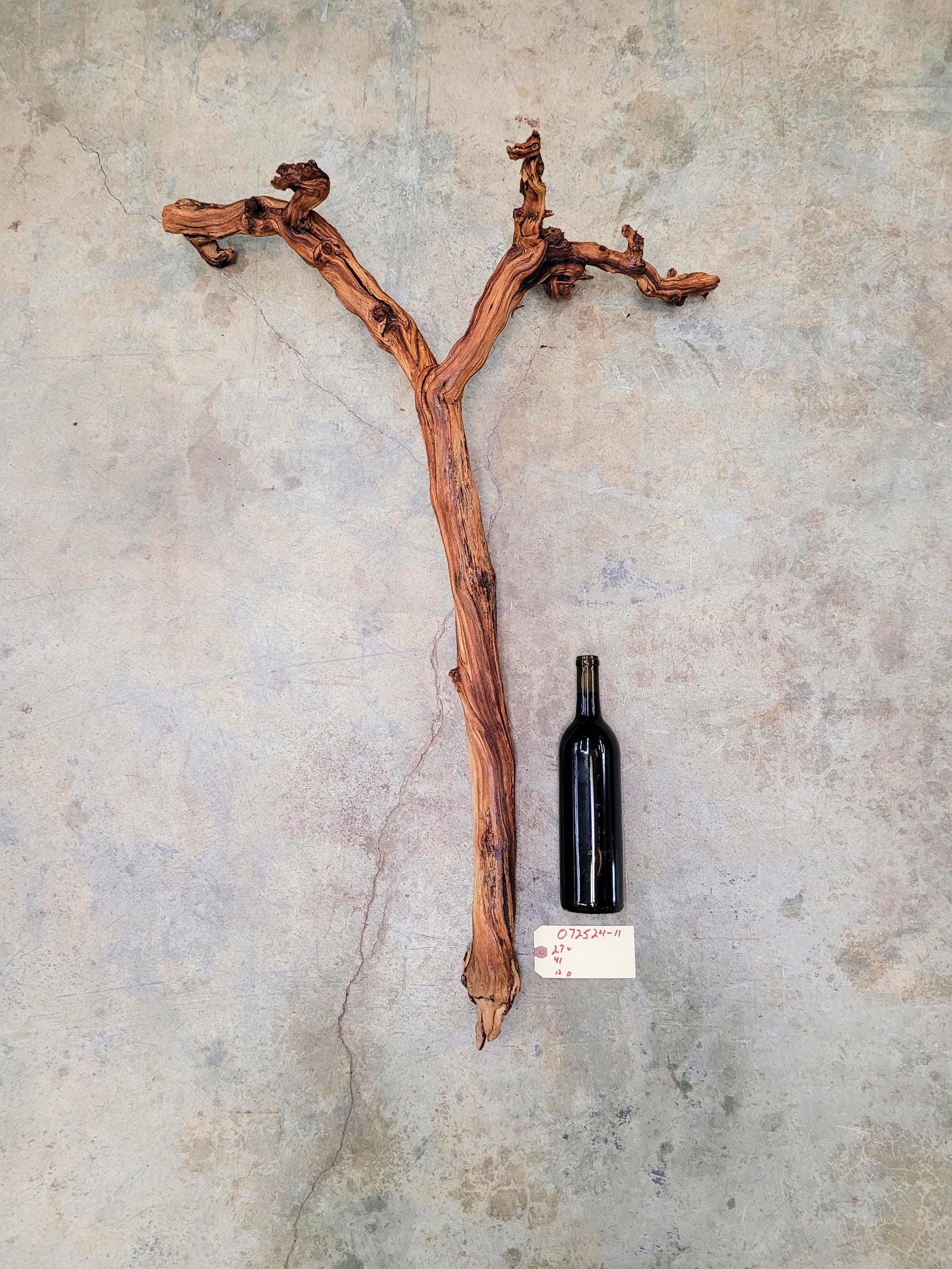 J Lohr Winery retired Cabernet Grape Vine Art - 100% Reclaimed + Ready to Ship! 072524-11