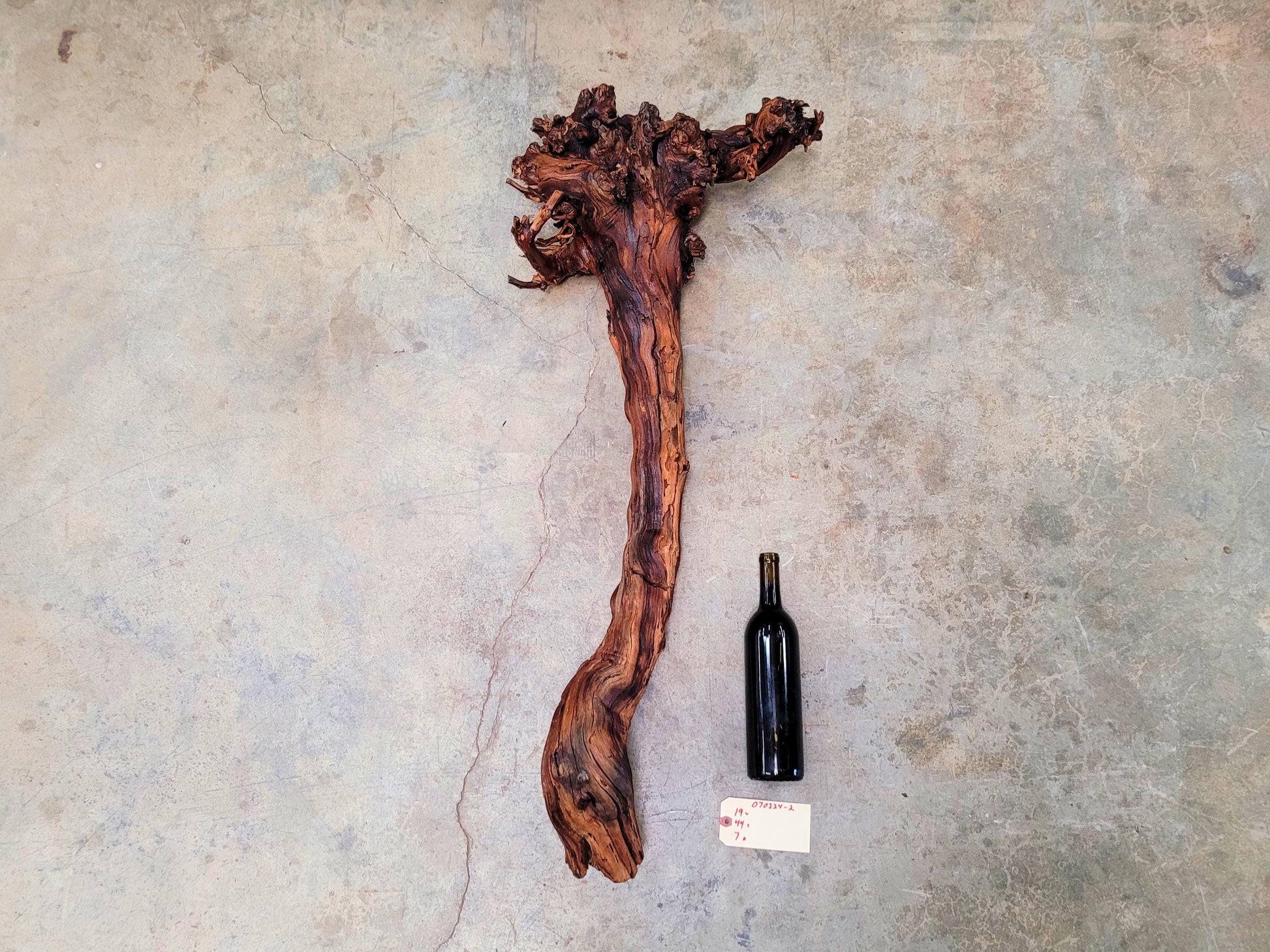 RARE Justin Winery Cabernet Grapevine Vine Art planted by Justin himself 100% Reclaimed + Ready to Ship!! 070224-2