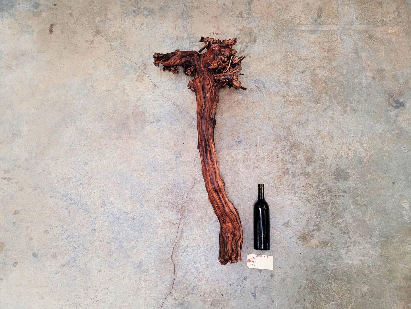 RARE Justin Winery Cabernet Grapevine Vine Art planted by Justin himself 100% Reclaimed + Ready to Ship!! 070224-2