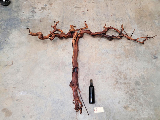 Rombauer Cabernet Grape Vine Art from Napa 100% Recycled + Ready to Ship! 071324-1