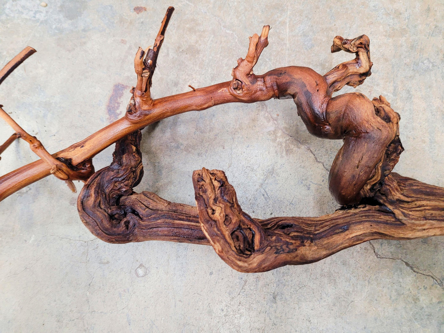 Rombauer Cabernet Grape Vine Art from Napa 100% Recycled + Ready to Ship! 071324-1