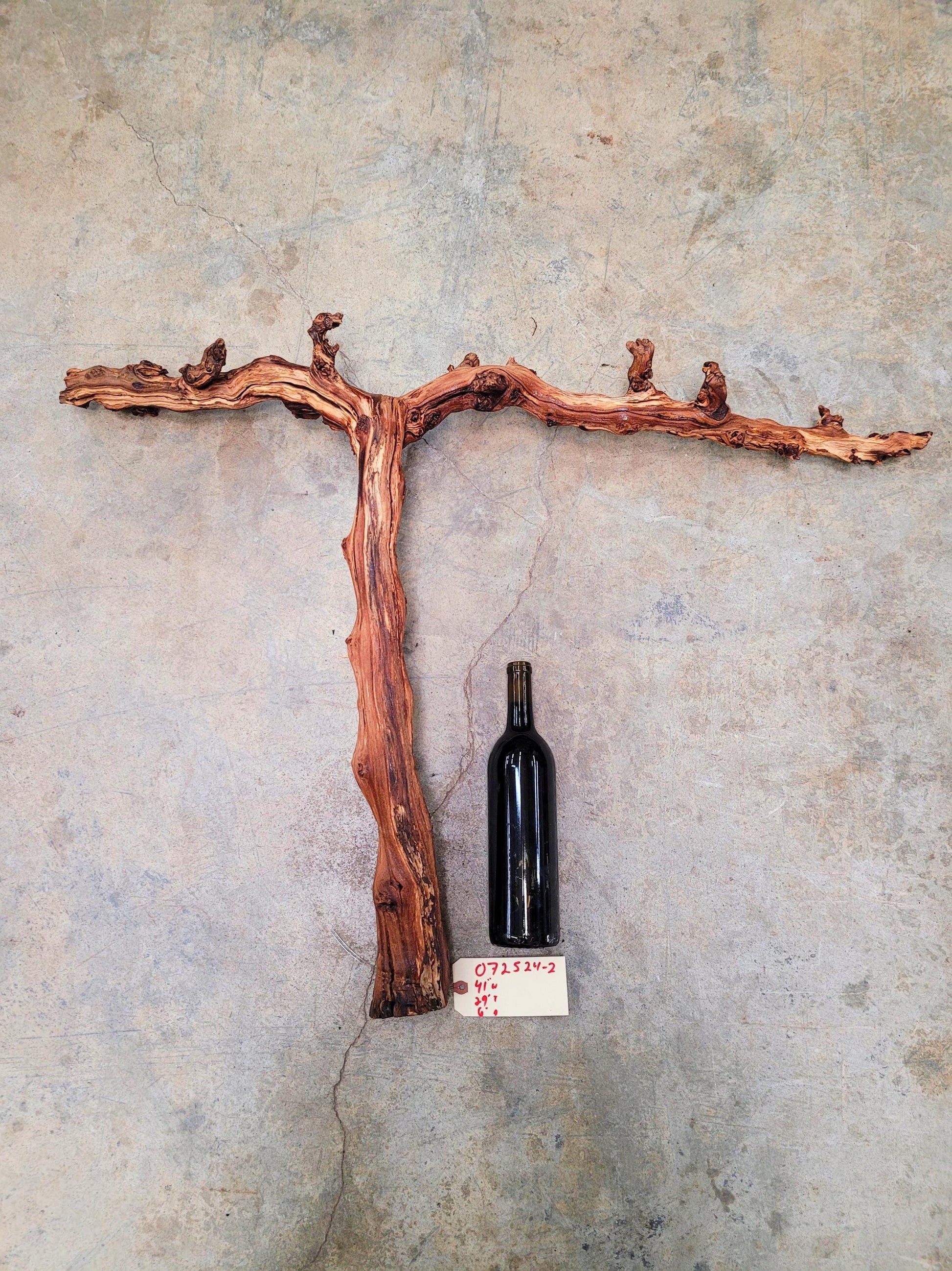 Fess Parker Chardonnay Grape Vine Art from Santa Barbara 100% Recycled + Ready to Ship! 072524-2