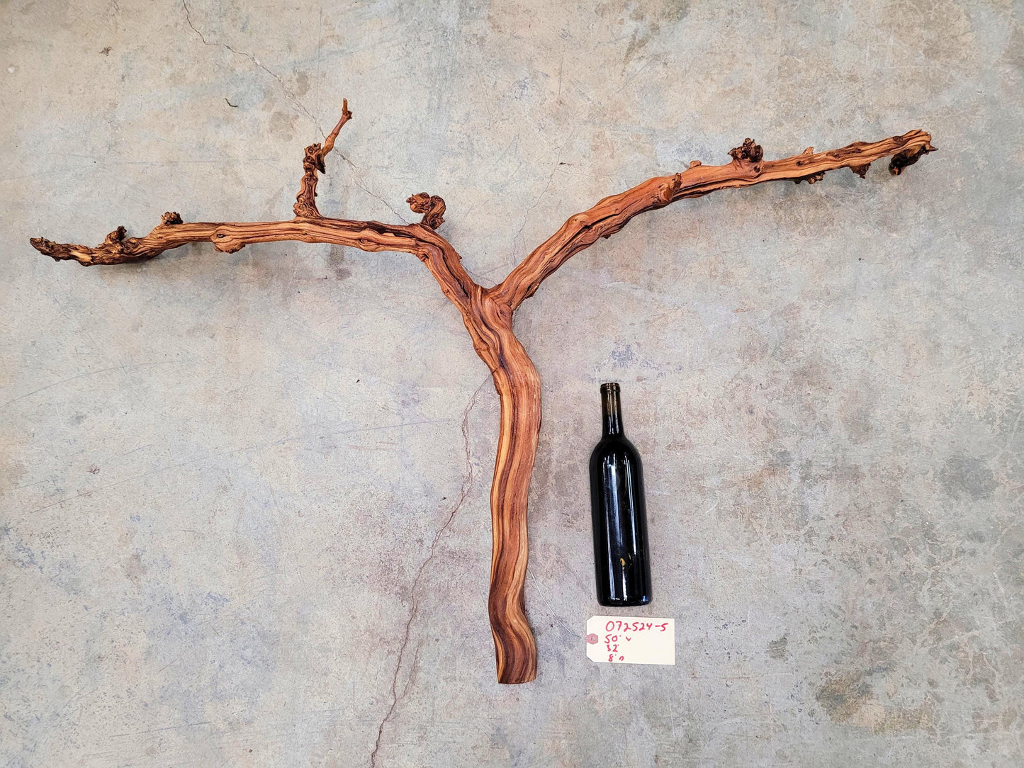 Fess Parker Bien Nacido Pinot Noir Grape Vine Art from Santa Barbara 100% Recycled + Ready to Ship! 072524-5