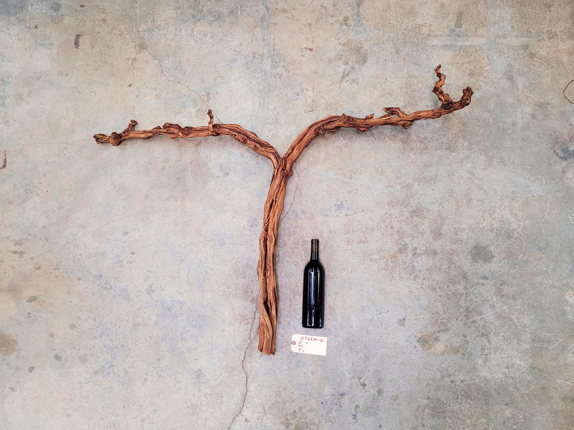 Fess Parker Bien Nacido Pinot Noir Grape Vine Art from Santa Barbara 100% Recycled + Ready to Ship! 072524-6