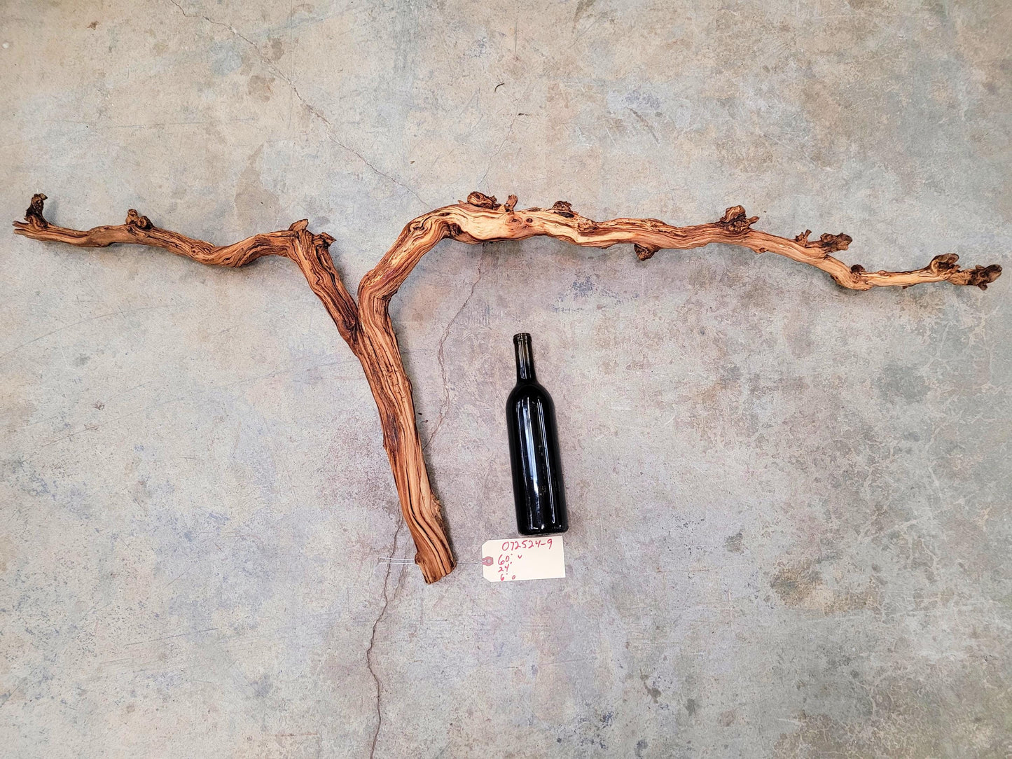 Sanford Pinot Noir Grape Vine Art from Santa Barbara 100% Recycled + Ready to Ship! 072524-9