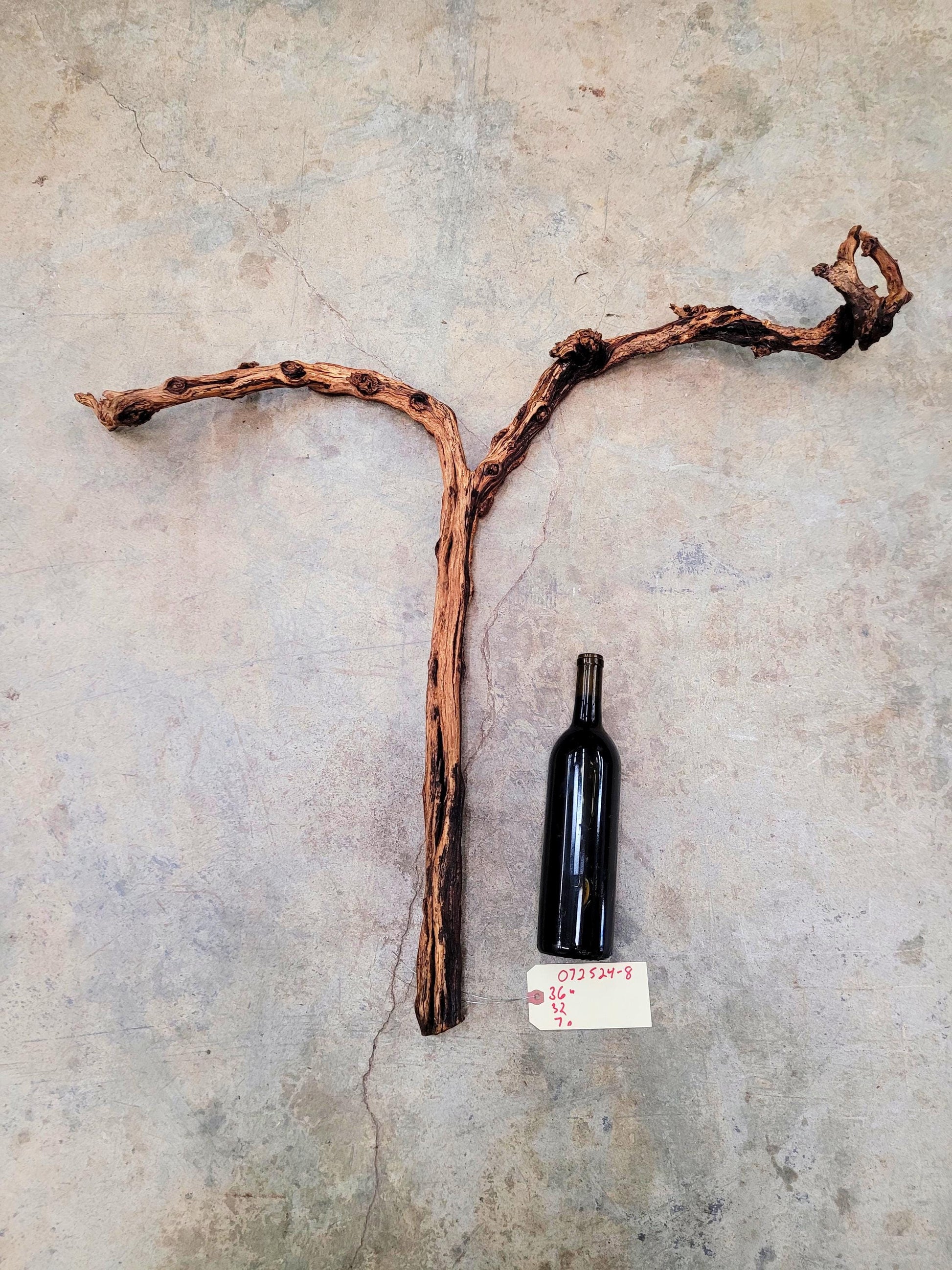 J Lohr Winery retired Cabernet Grape Vine Art - 100% Reclaimed + Ready to Ship! 072524-8