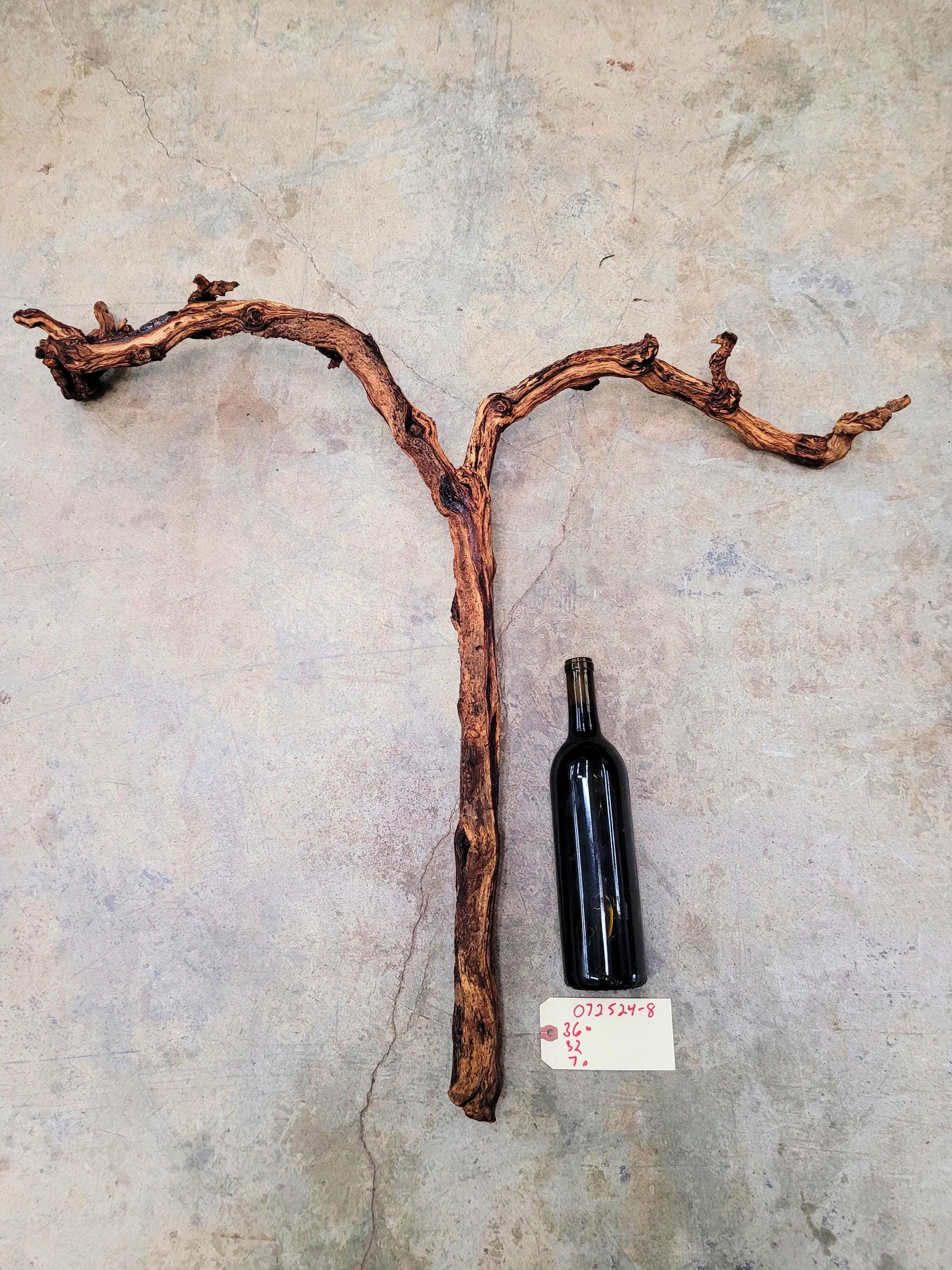 J Lohr Winery retired Cabernet Grape Vine Art - 100% Reclaimed + Ready to Ship! 072524-8