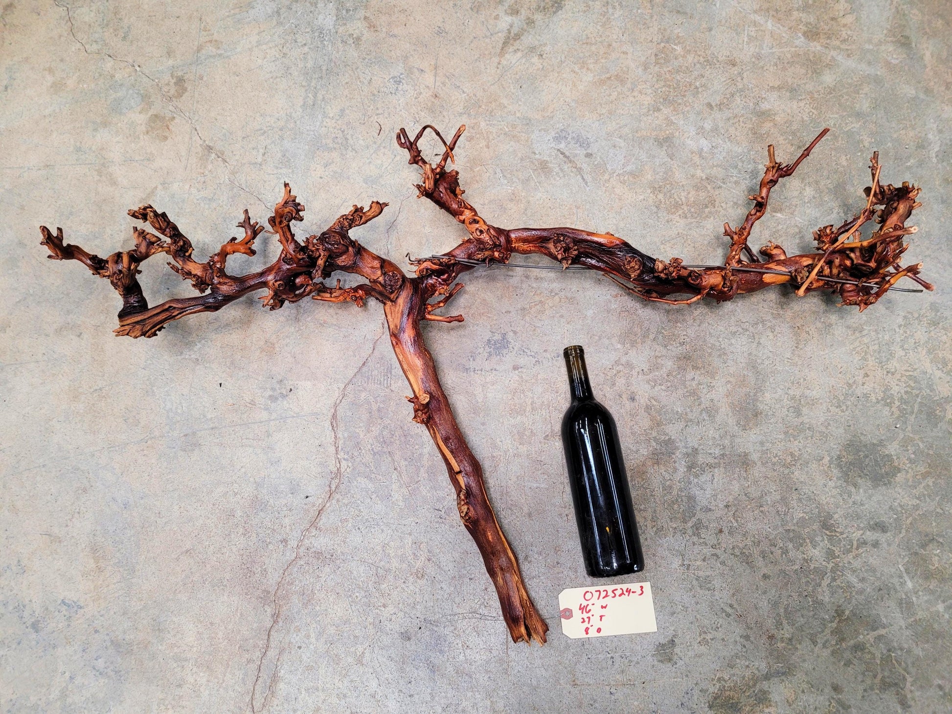 RARE Cakebread Winery Chardonnay Grapevine Vine Art - 100% Recycled + Ready to Ship! 072524-3