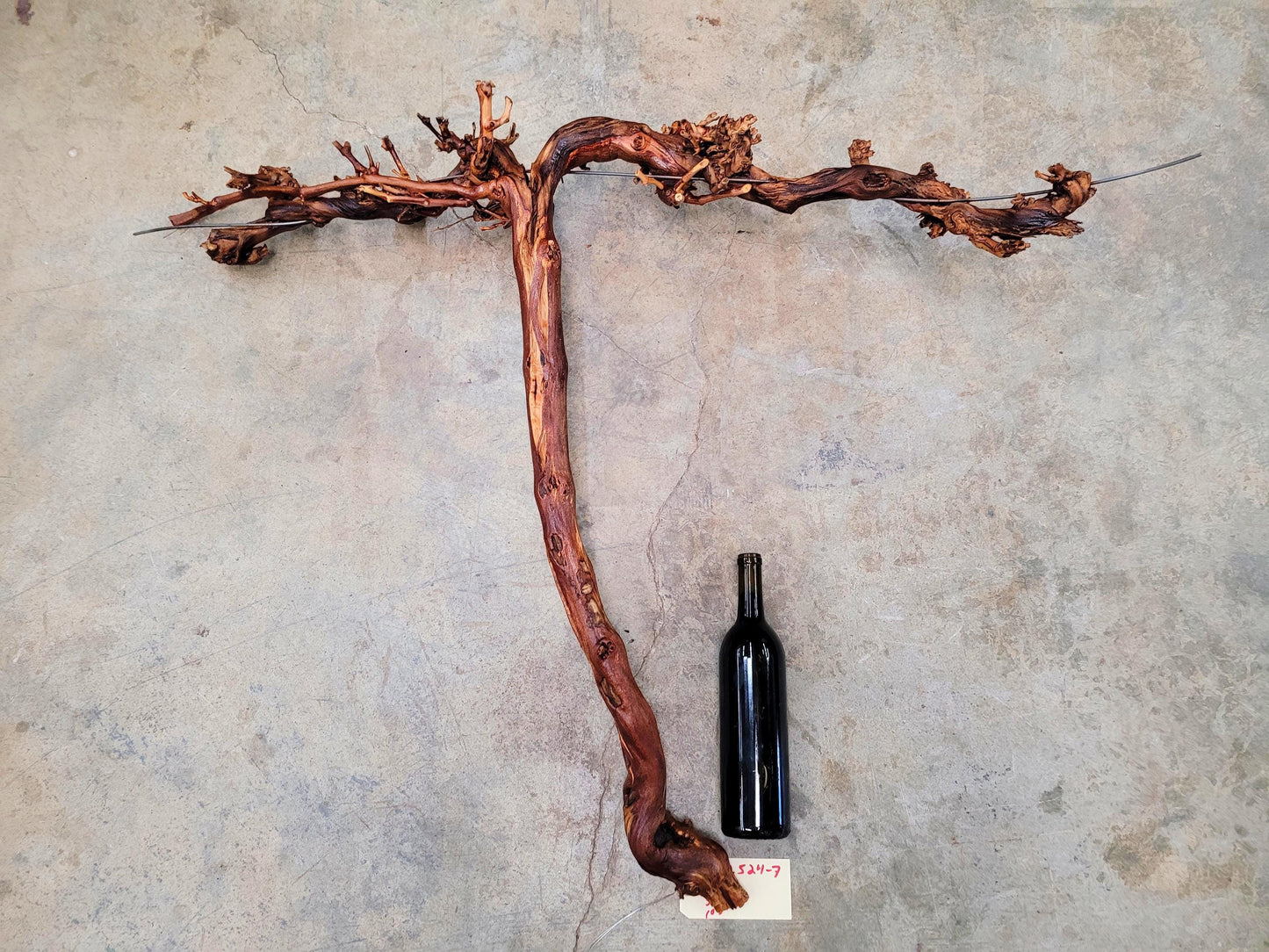 RARE Cakebread Winery Chardonnay Grapevine Vine Art - 100% Recycled + Ready to Ship! 072524-7