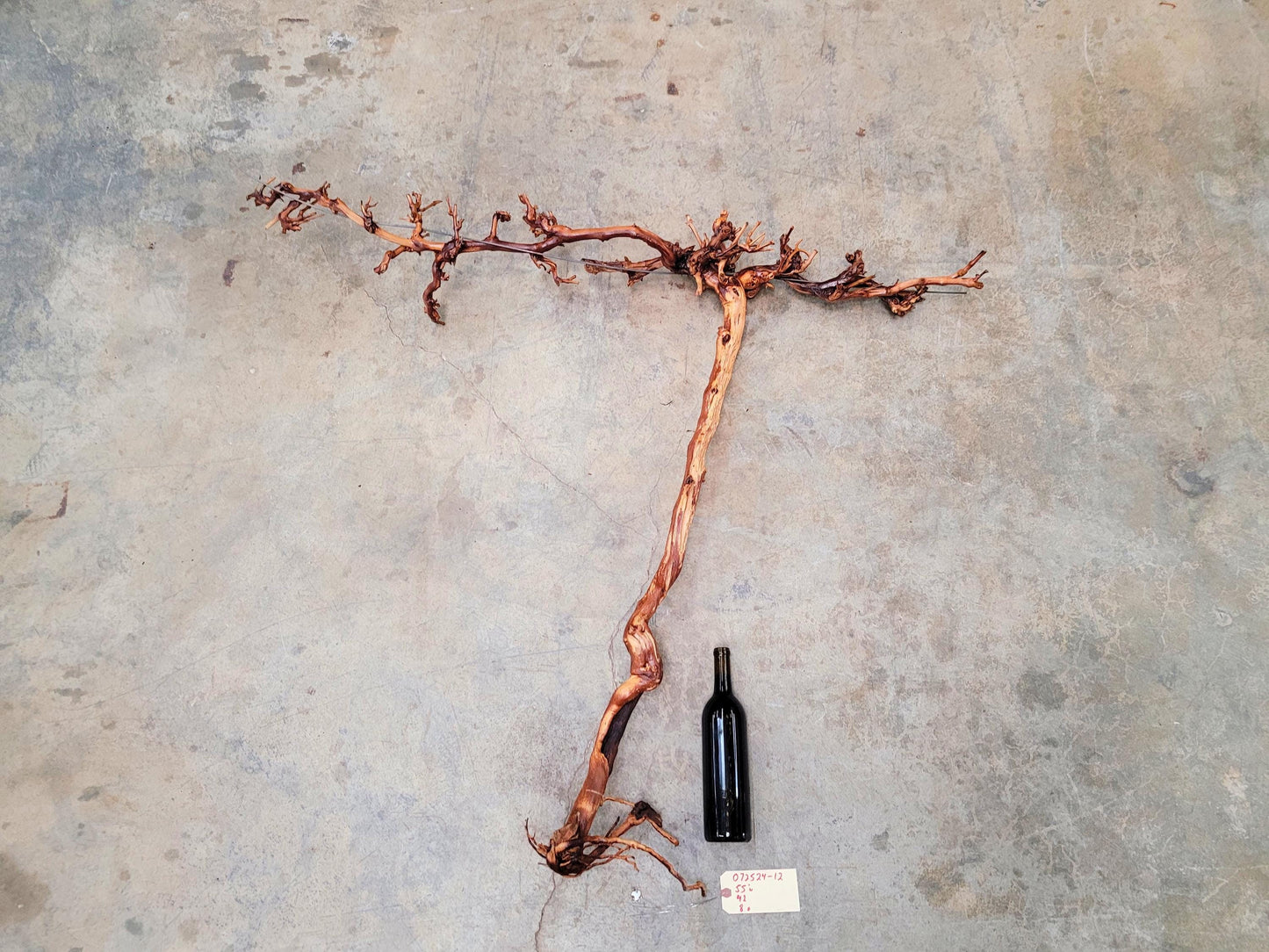 RARE Cakebread Winery Chardonnay Grapevine Vine Art - 100% Recycled + Ready to Ship! 072524-12