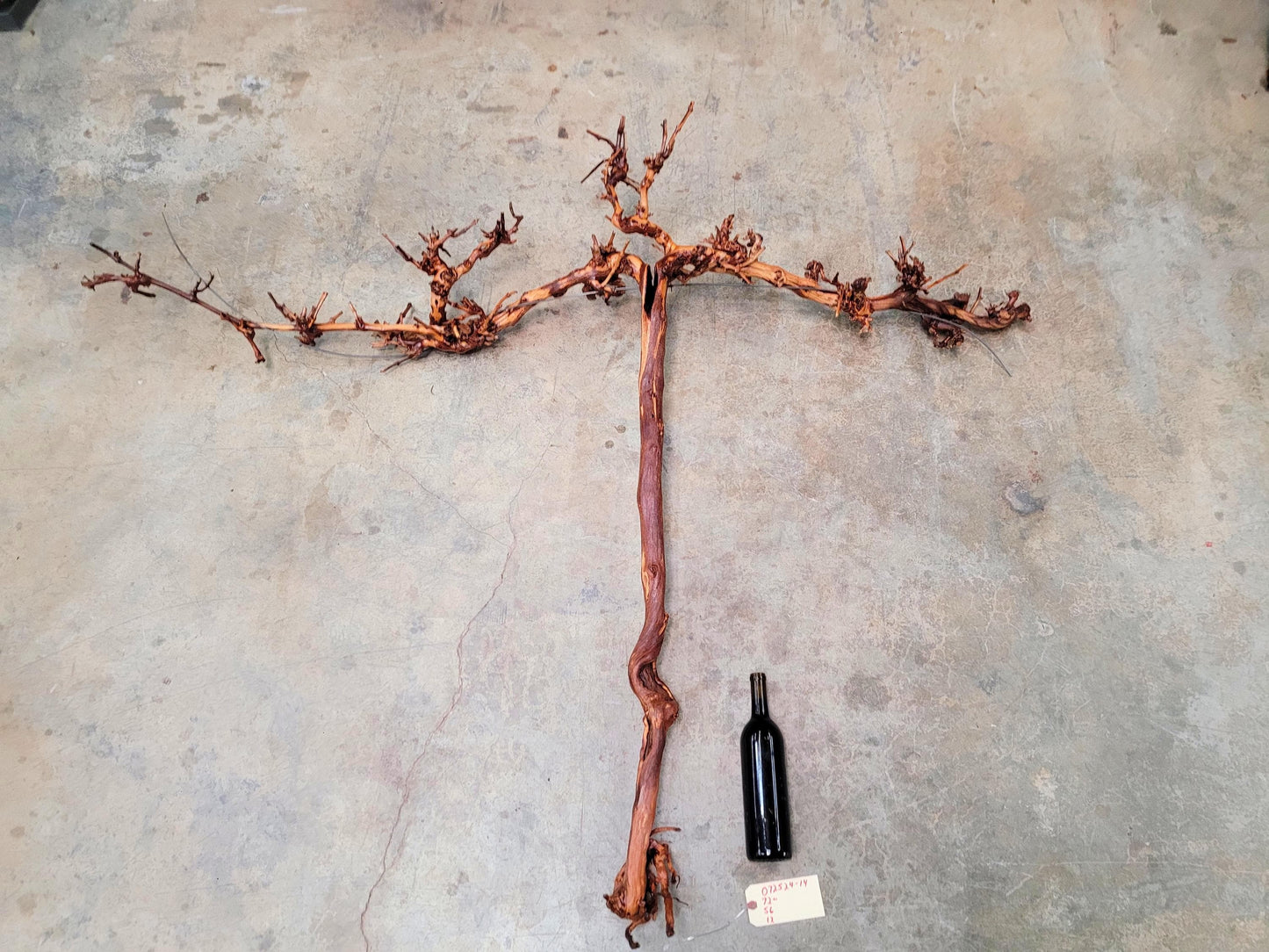 RARE Cakebread Winery Chardonnay Grapevine Vine Art - 100% Recycled + Ready to Ship! 072524-14