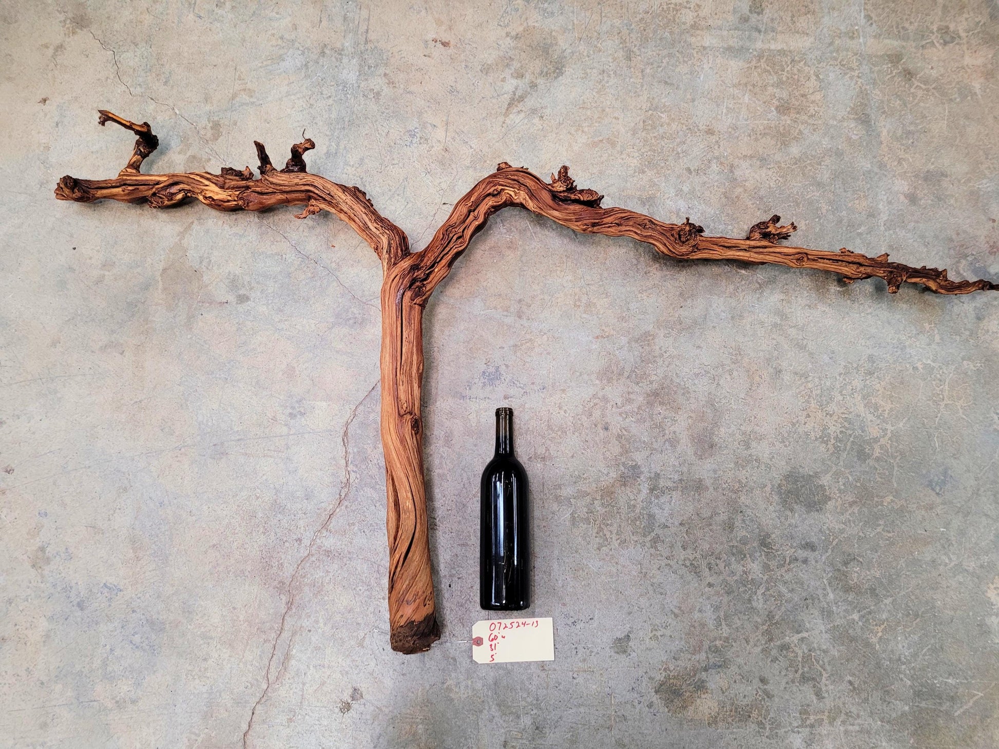 J Lohr Winery retired Cabernet Grape Vine Art - 100% Reclaimed + Ready to Ship! 072524-13