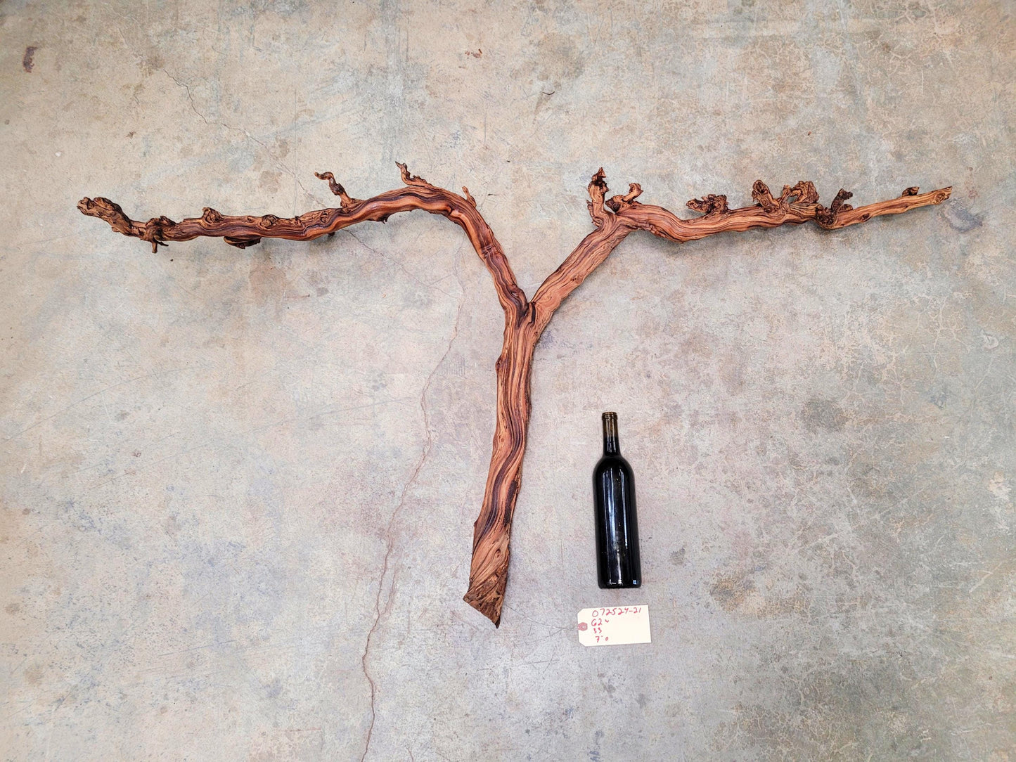 J Lohr Winery retired Cabernet Grape Vine Art - 100% Reclaimed + Ready to Ship! 072524-21