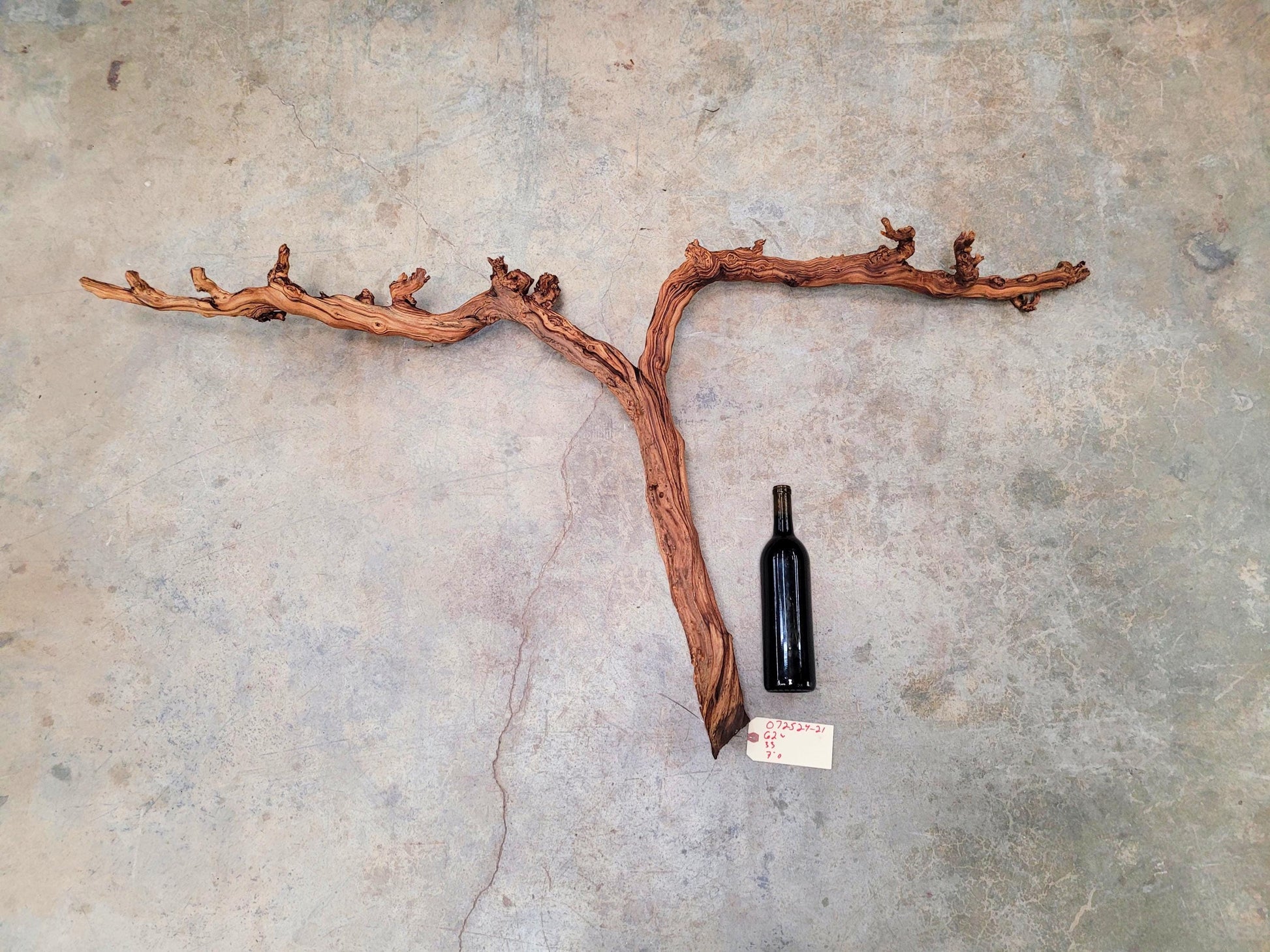 J Lohr Winery retired Cabernet Grape Vine Art - 100% Reclaimed + Ready to Ship! 072524-21