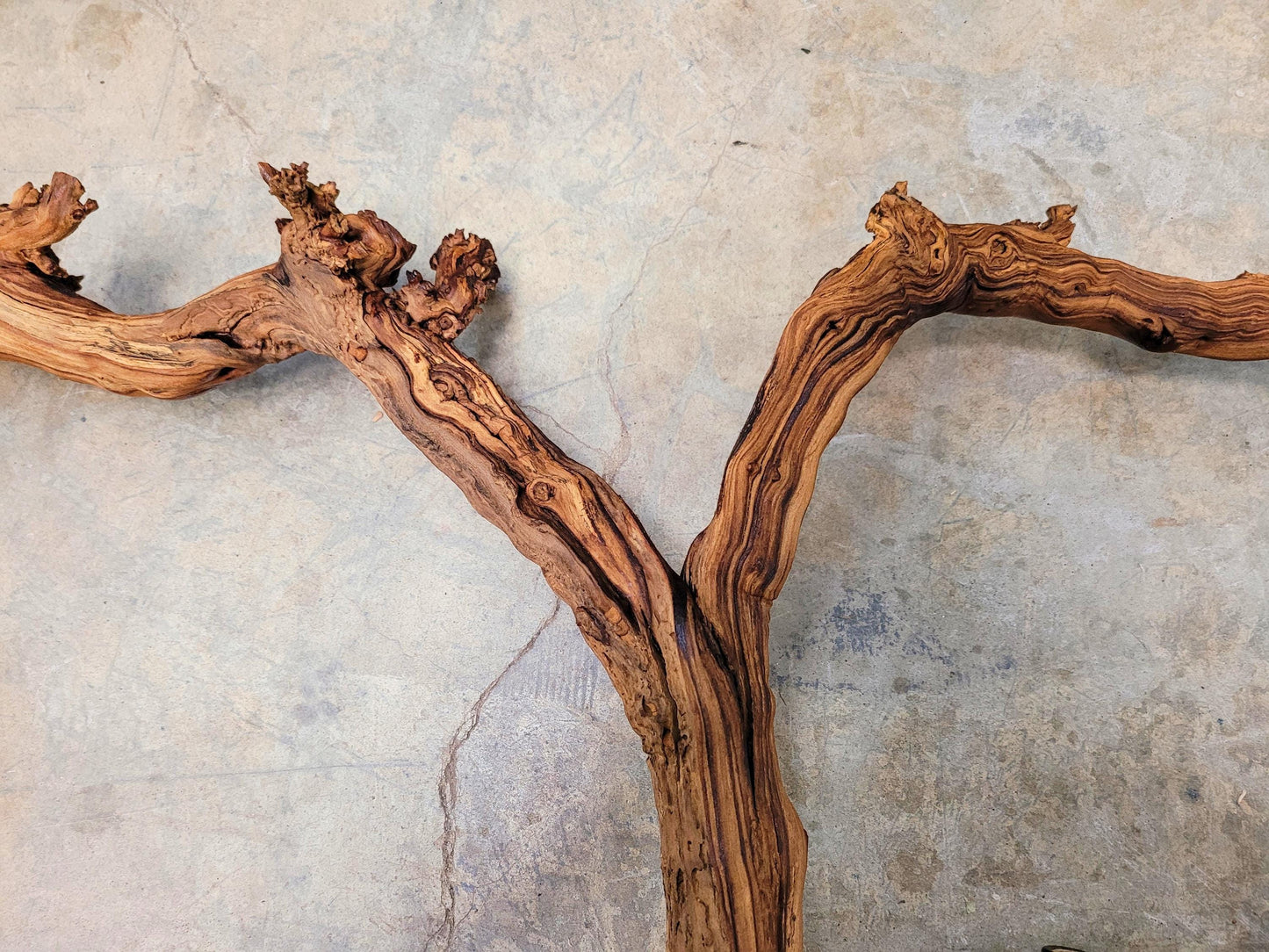 J Lohr Winery retired Cabernet Grape Vine Art - 100% Reclaimed + Ready to Ship! 072524-21