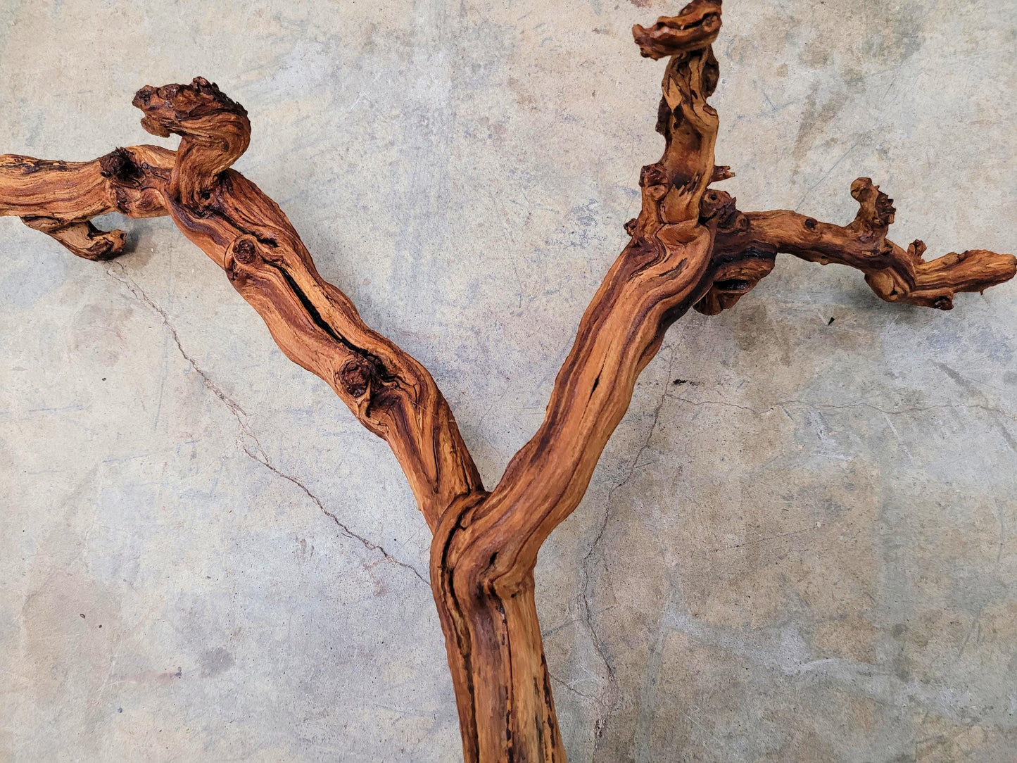 J Lohr Winery retired Cabernet Grape Vine Art - 100% Reclaimed + Ready to Ship! 072524-11