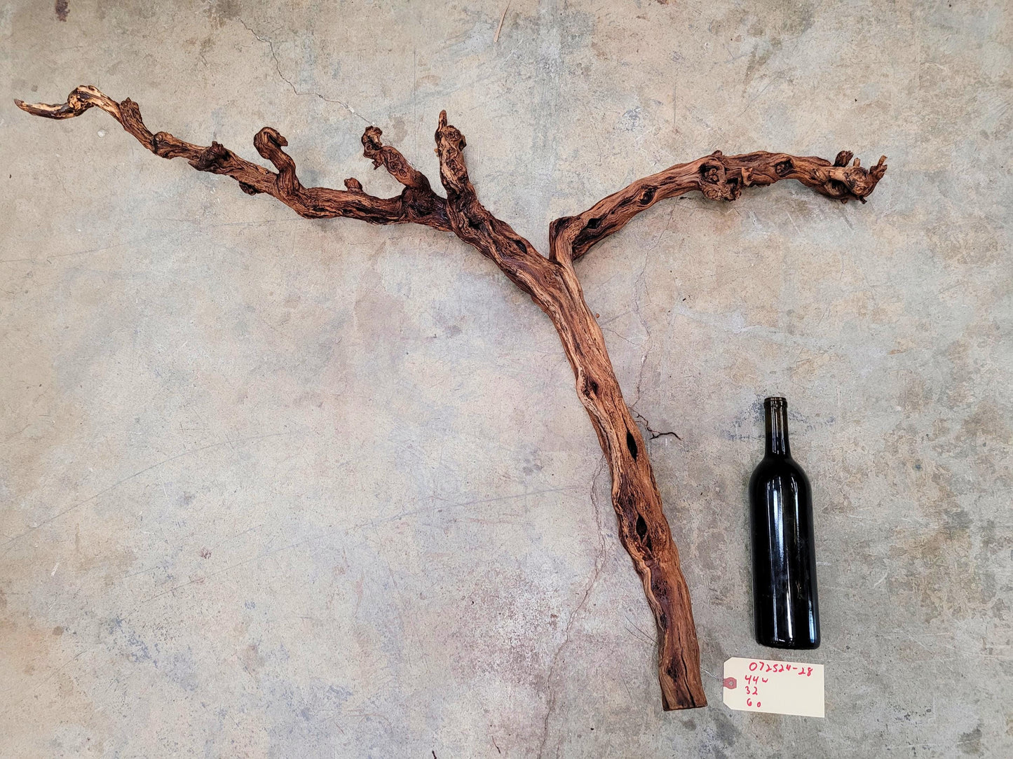 Fess Parker Bien Nacido Pinot Noir Grape Vine Art from Santa Barbara 100% Recycled + Ready to Ship! 072524-28