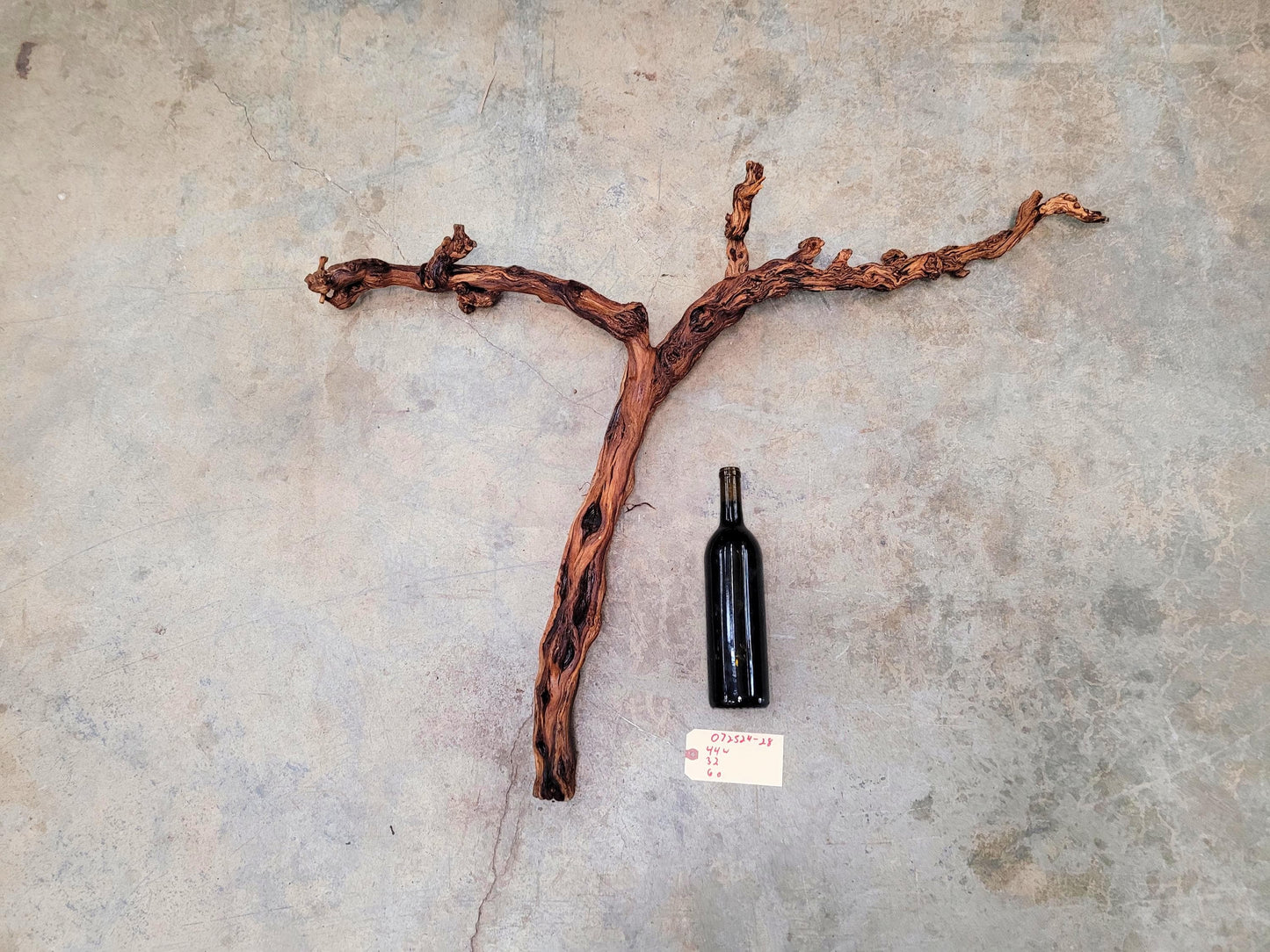 Fess Parker Bien Nacido Pinot Noir Grape Vine Art from Santa Barbara 100% Recycled + Ready to Ship! 072524-28