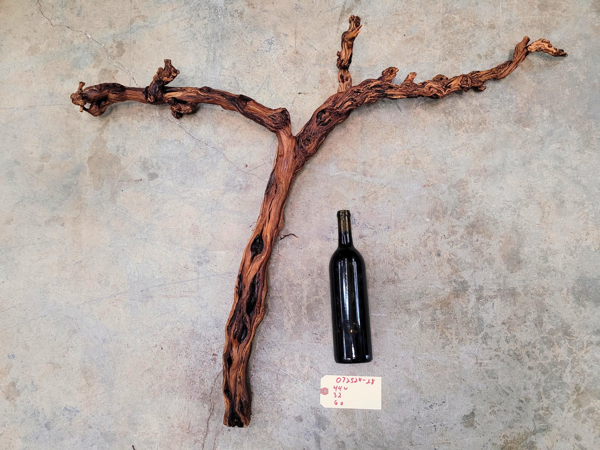 Fess Parker Bien Nacido Pinot Noir Grape Vine Art from Santa Barbara 100% Recycled + Ready to Ship! 072524-28