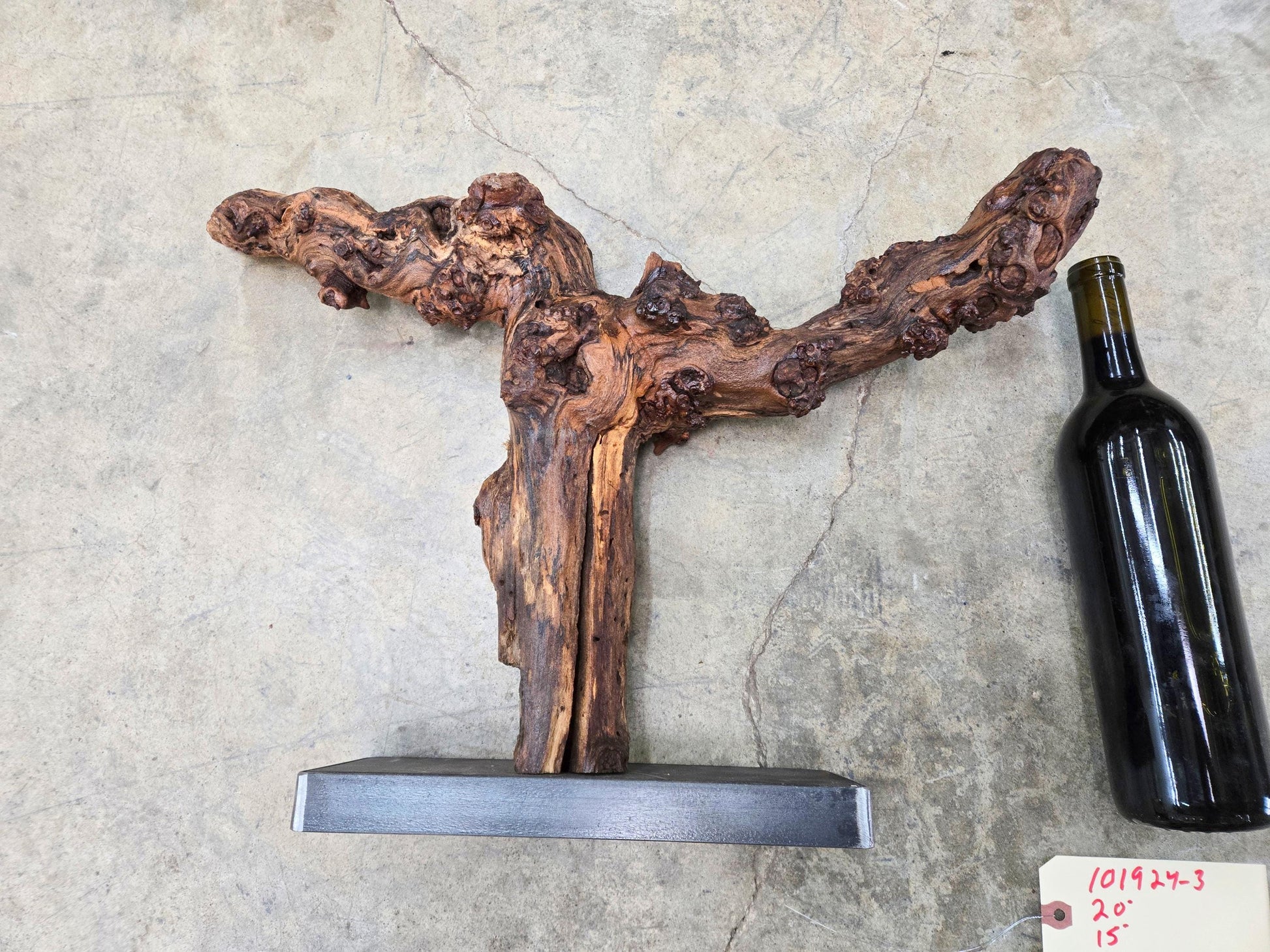 RARE Justin Winery Cabernet Grapevine Vine Art planted by Justin himself 100% Recycled 101924-3