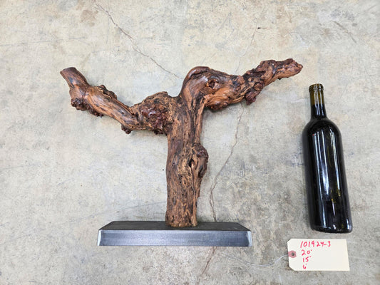 RARE Justin Winery Cabernet Grapevine Vine Art planted by Justin himself 100% Recycled 101924-3