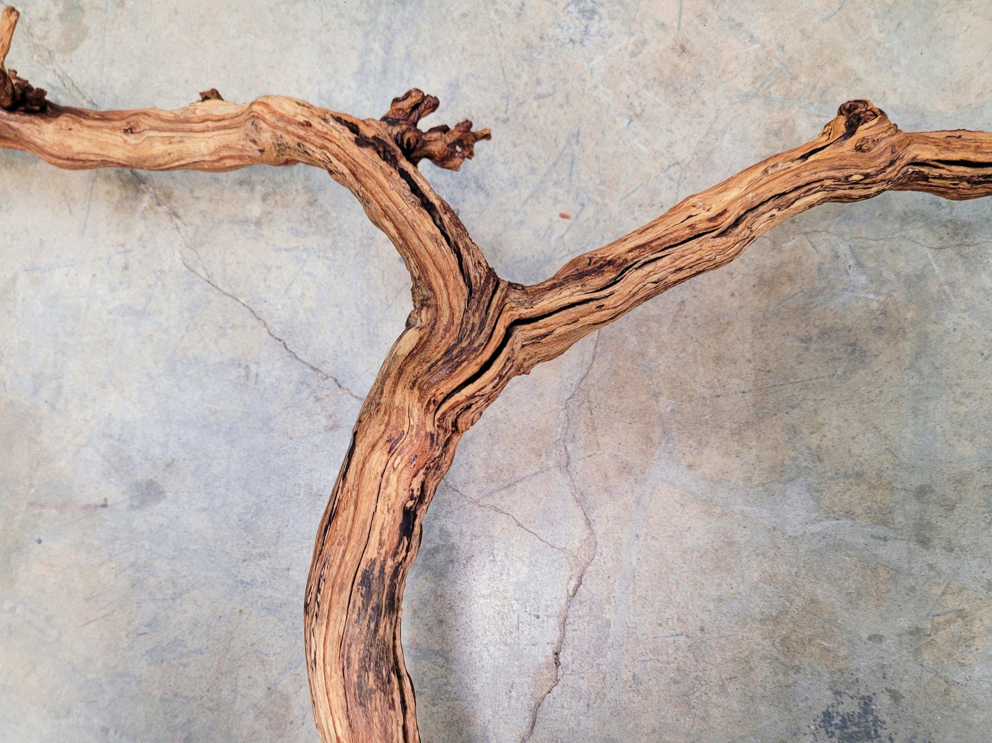 J Lohr Winery retired Cabernet Grape Vine Art - 100% Reclaimed + Ready to Ship! 080124-2