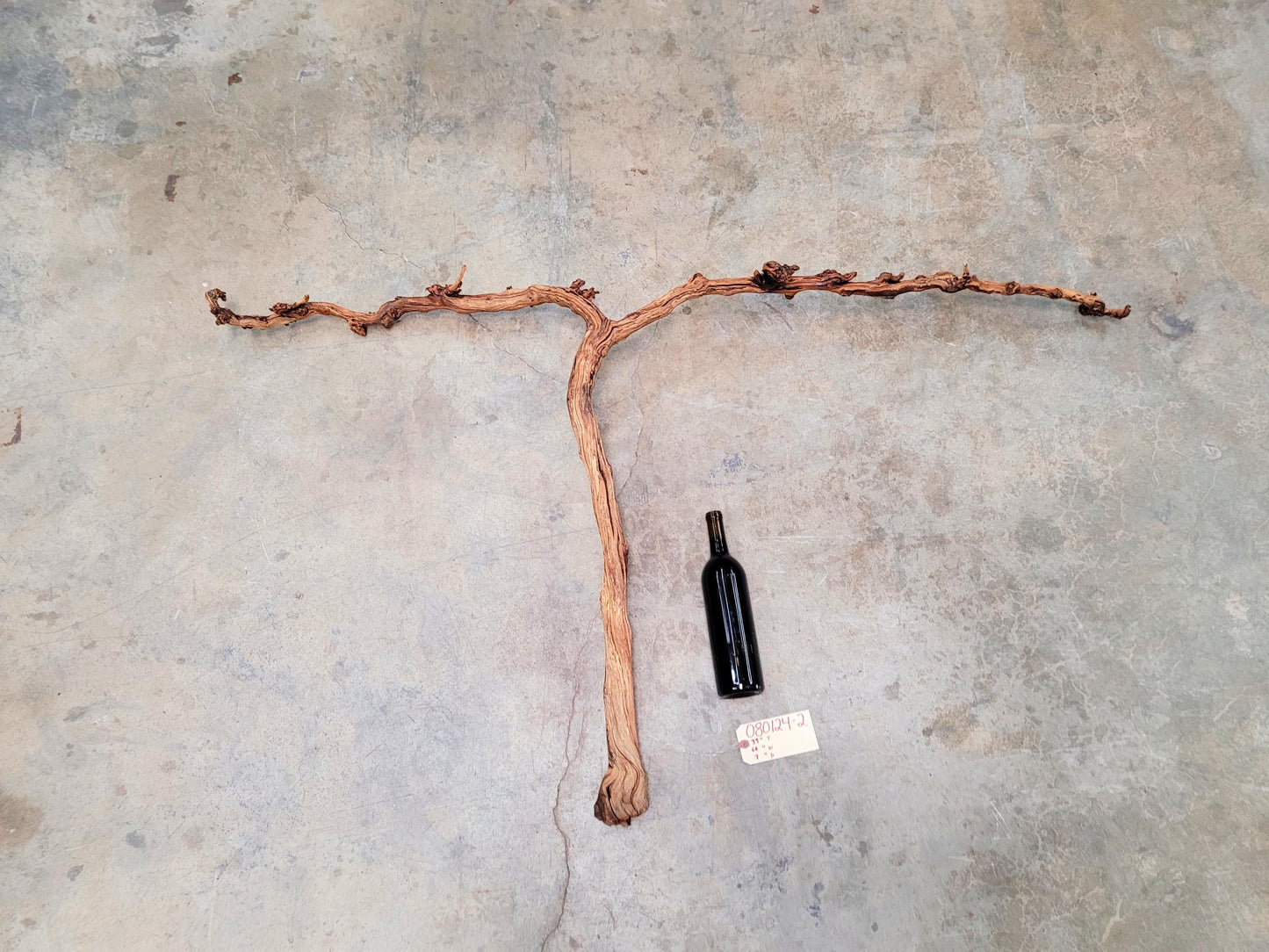 J Lohr Winery retired Cabernet Grape Vine Art - 100% Reclaimed + Ready to Ship! 080124-2