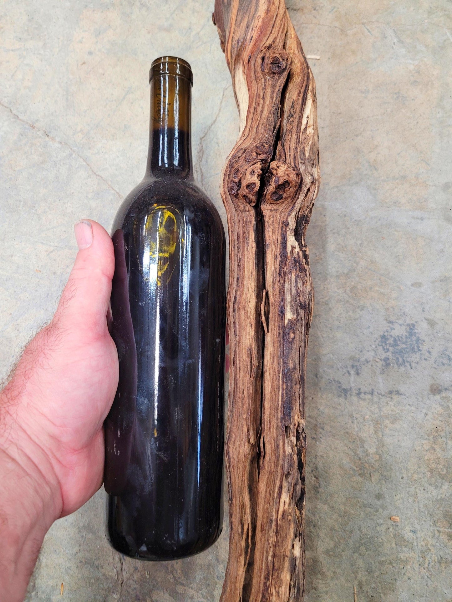 RARE Schramsberg Winery Chardonnay Grapevine Vine Art - 100% Recycled + Ready to Ship! 080824-1