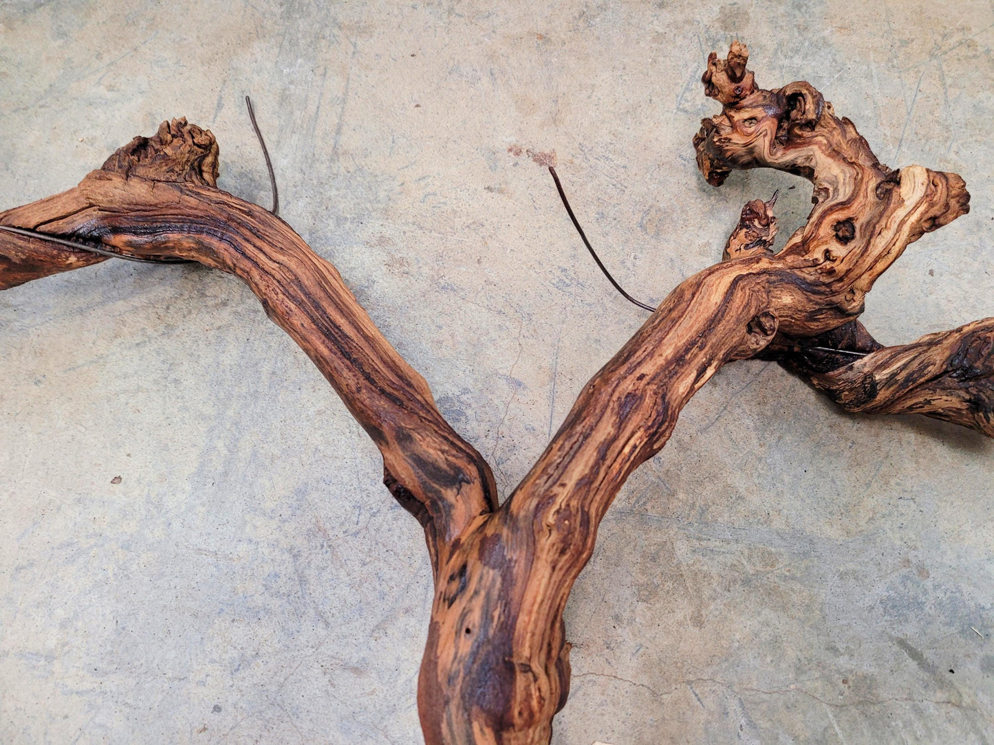 RARE Schramsberg Winery Chardonnay Grapevine Vine Art - 100% Recycled + Ready to Ship! 080824-1