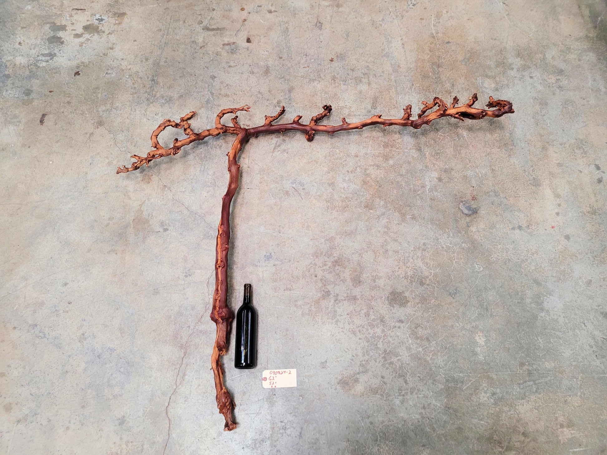 Duckhorn Cabernet Grape Vine Art From Napa 100% Recycled + Ready to Ship! 080824-2