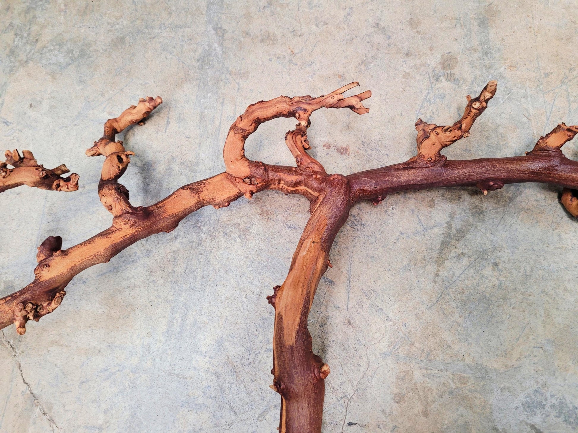 Duckhorn Cabernet Grape Vine Art From Napa 100% Recycled + Ready to Ship! 080824-2