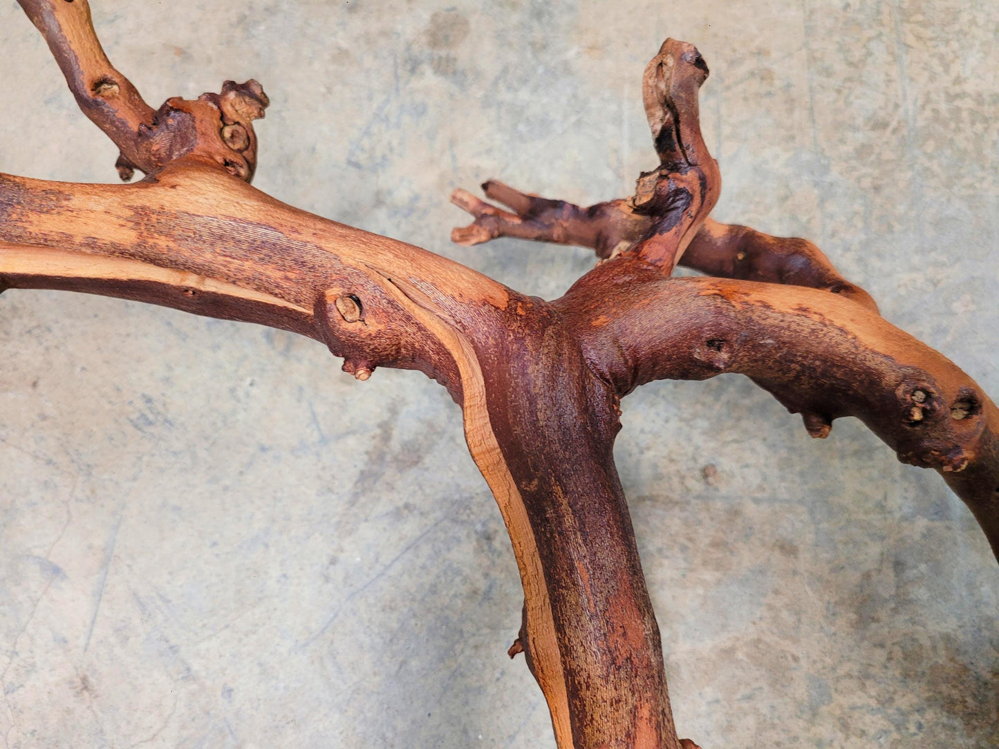 Duckhorn Cabernet Grape Vine Art From Napa 100% Recycled + Ready to Ship! 080824-2