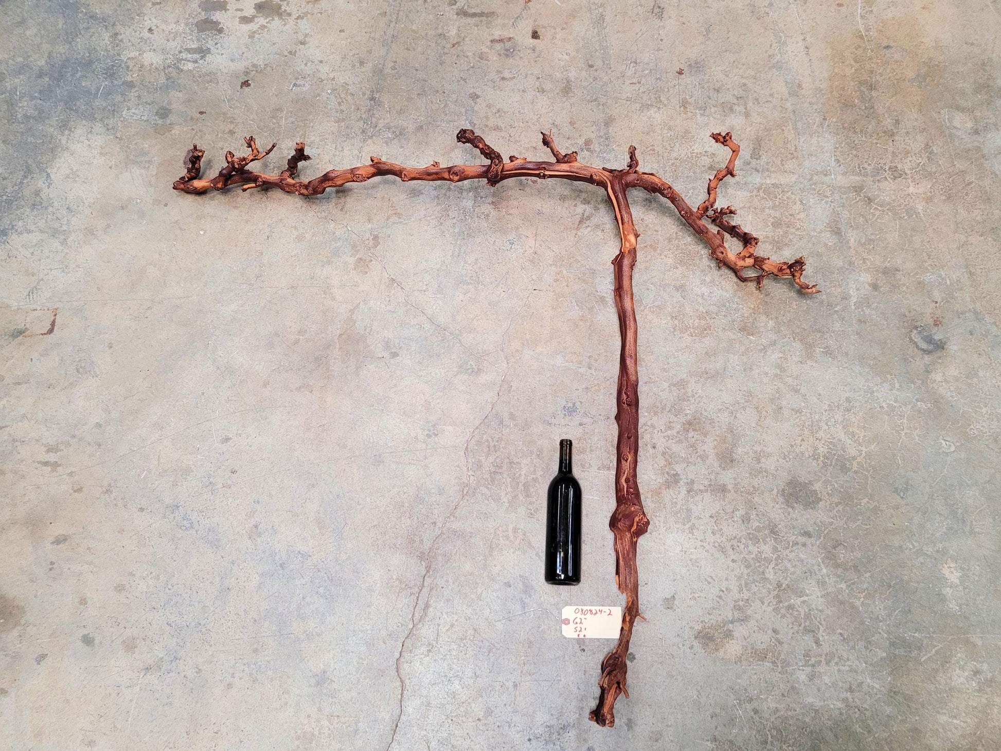 Duckhorn Cabernet Grape Vine Art From Napa 100% Recycled + Ready to Ship! 080824-2