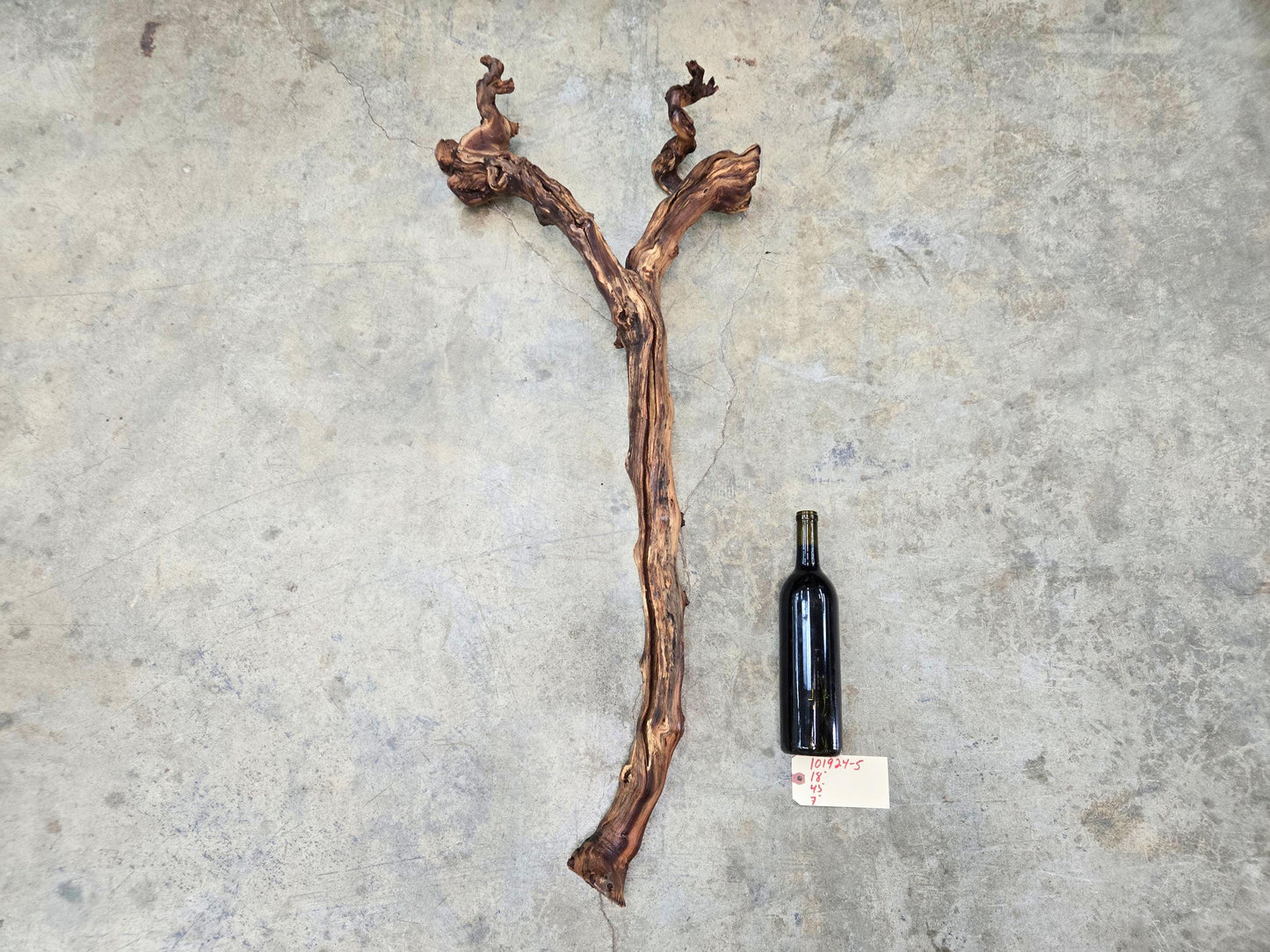 J Lohr Winery Petit Syrah Grape Vine Art - 100% Recycled + Ready to Ship! 101924-5