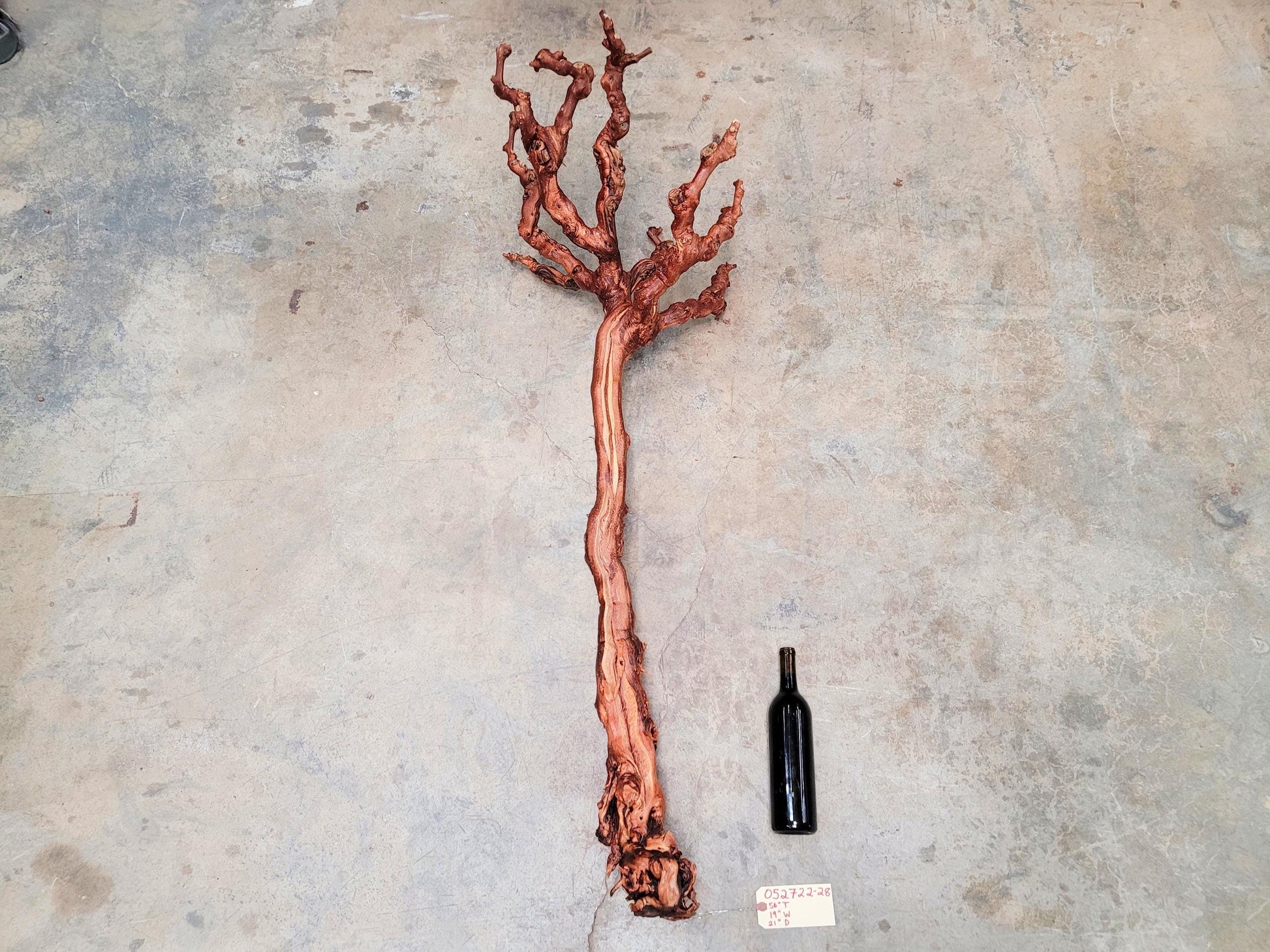 Turley Winery Old Vine Zinfandel Grapevine Art - 100% Reclaimed + Ready to Ship!! 052722-28