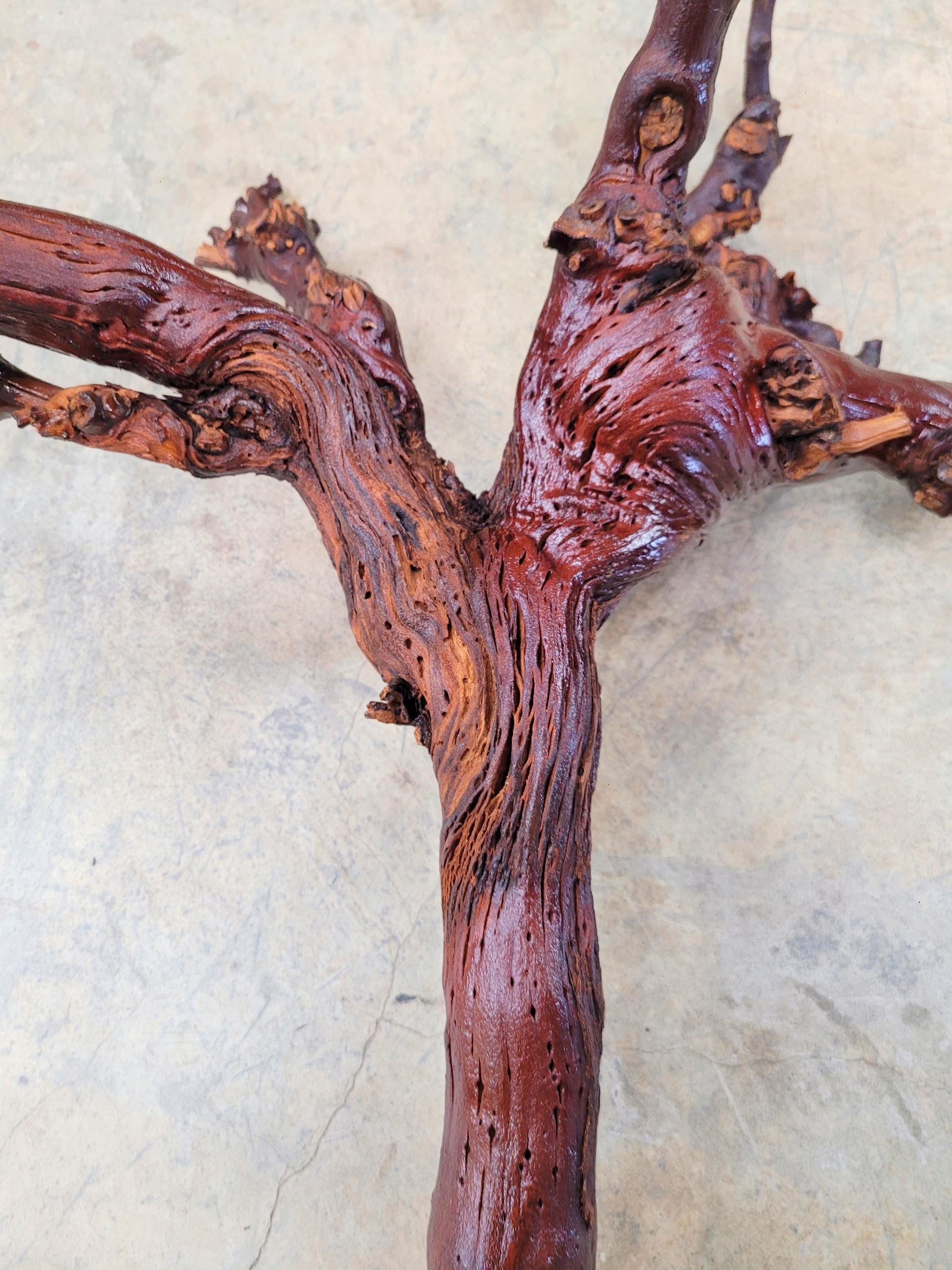 Domaine Carneros Grape Vine Art From made from retired Napa Pinot Noir grapevine 100% Recycled + Ready to Ship! 070224-1