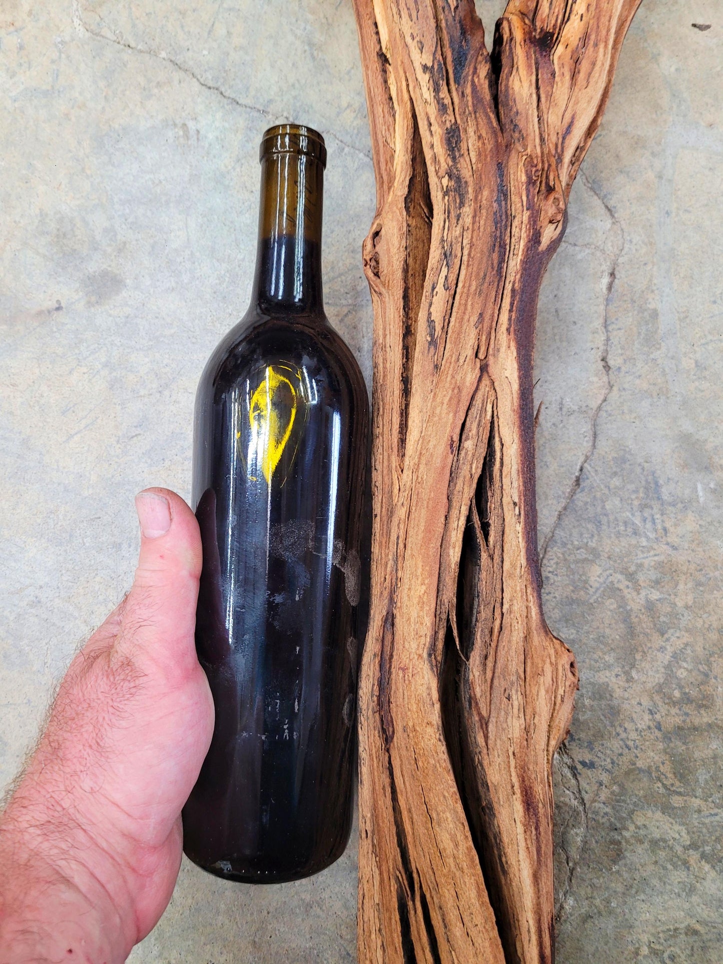 J Lohr Winery Cabernet Grape Vine Art 100% Recycled + Ready to Ship! 072425-26