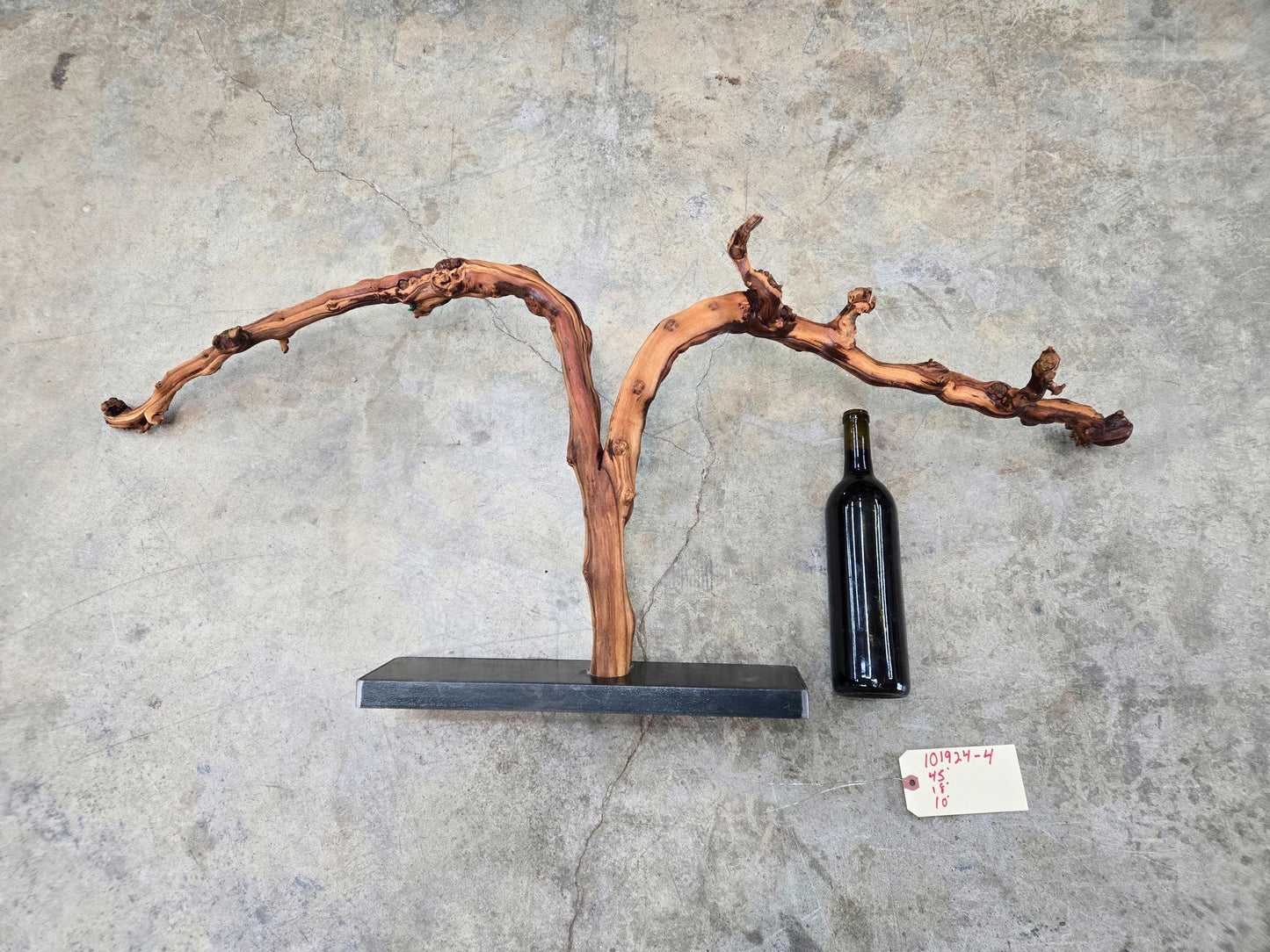 RARE Schramsberg Winery Chardonnay Grapevine Vine Art - 100% Recycled + Ready to Ship! 101924-4