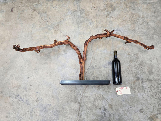 RARE Schramsberg Winery Chardonnay Grapevine Vine Art - 100% Recycled + Ready to Ship! 101924-4