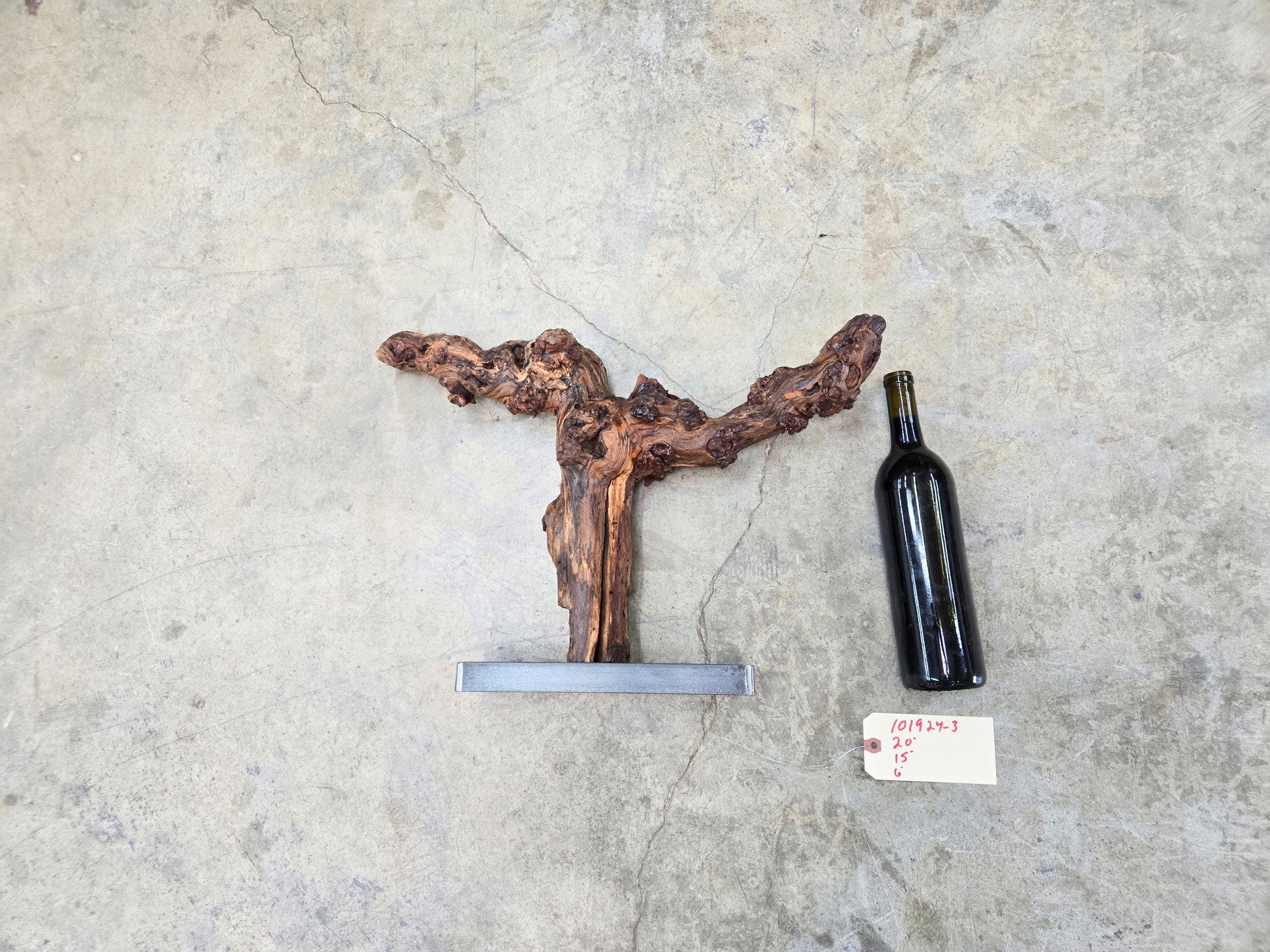 RARE Justin Winery Cabernet Grapevine Vine Art planted by Justin himself 100% Recycled 101924-3