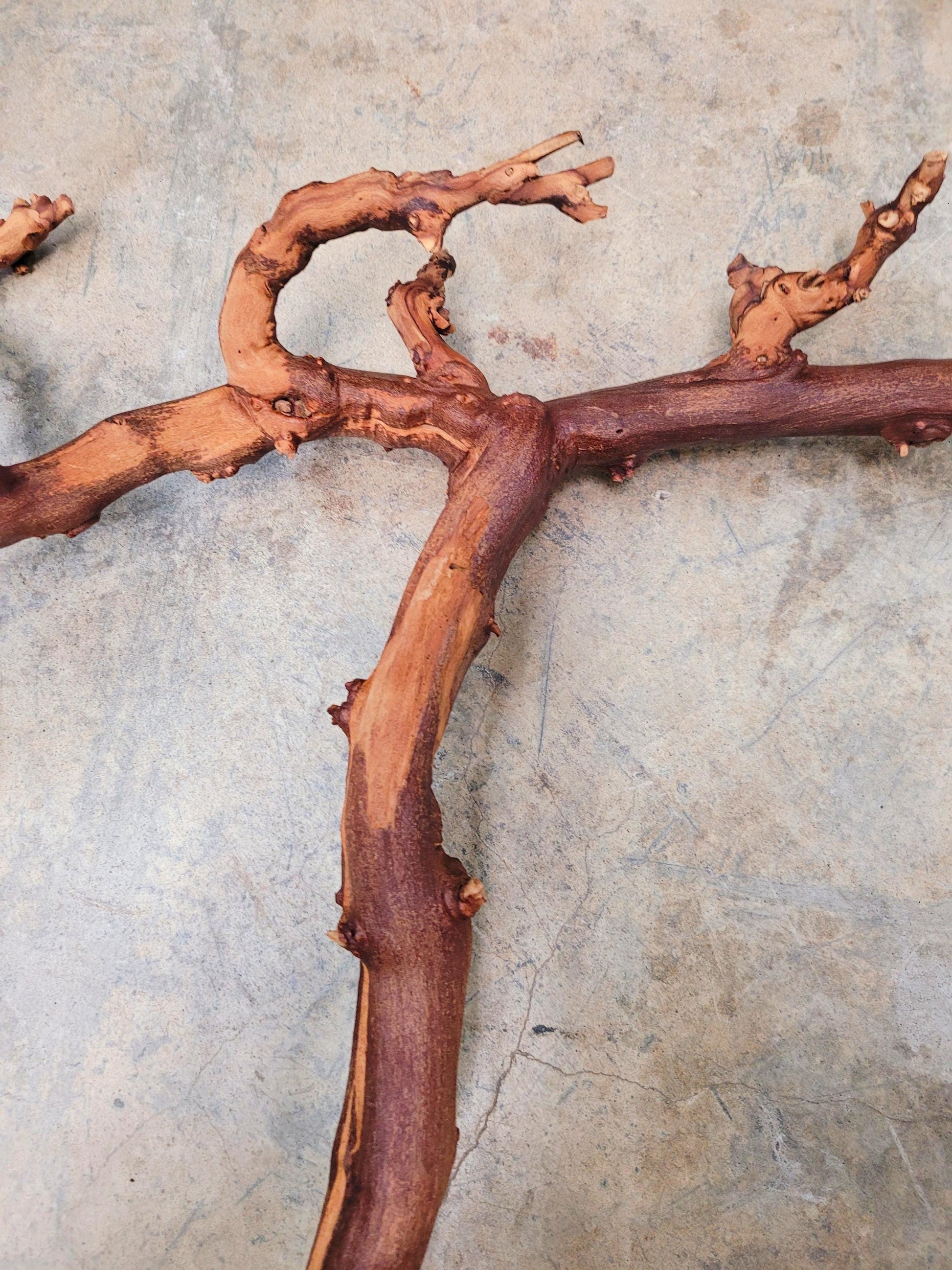 Duckhorn Cabernet Grape Vine Art From Napa 100% Recycled + Ready to Ship! 080824-2