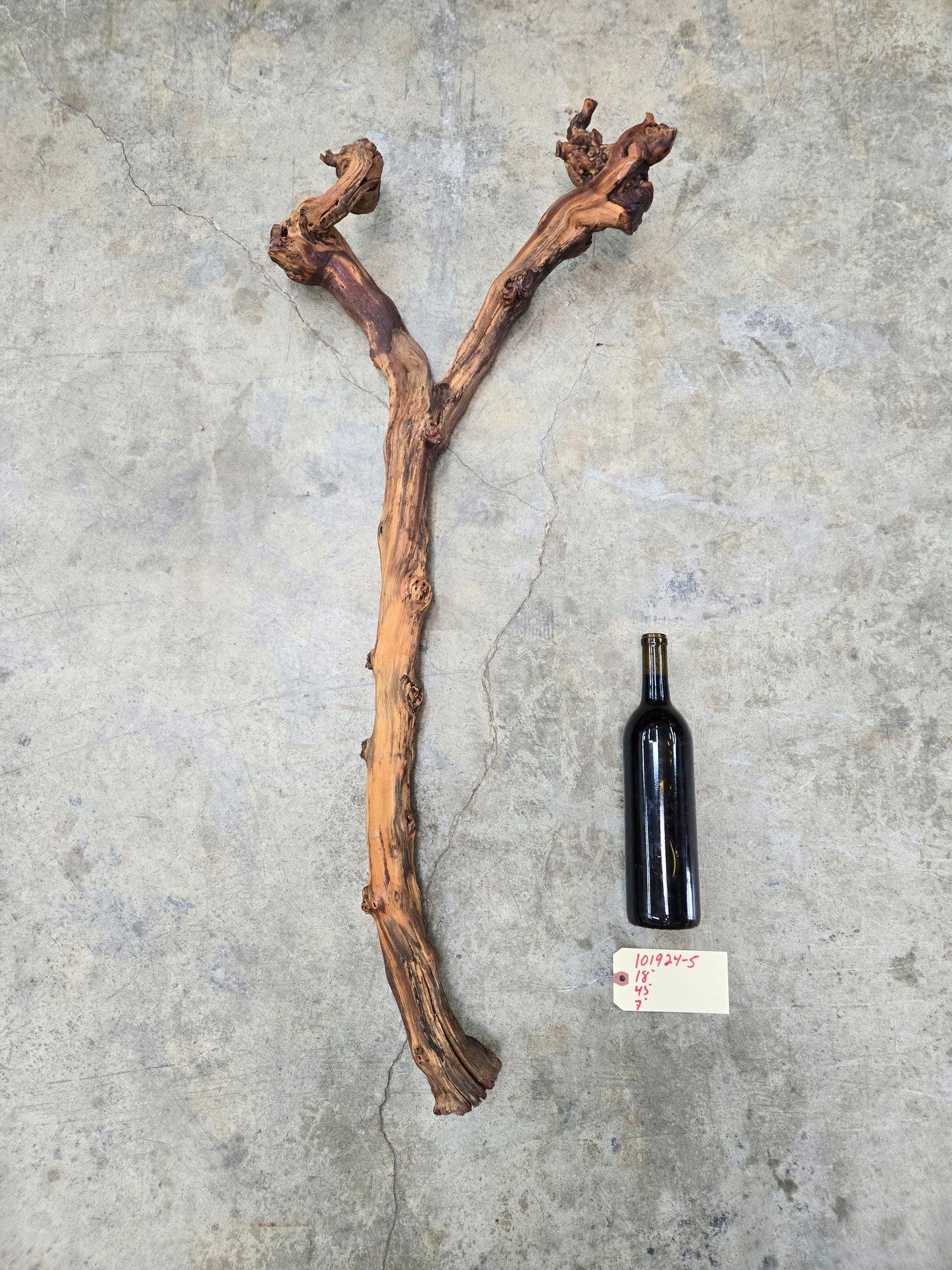 J Lohr Winery Petit Syrah Grape Vine Art - 100% Recycled + Ready to Ship! 101924-5