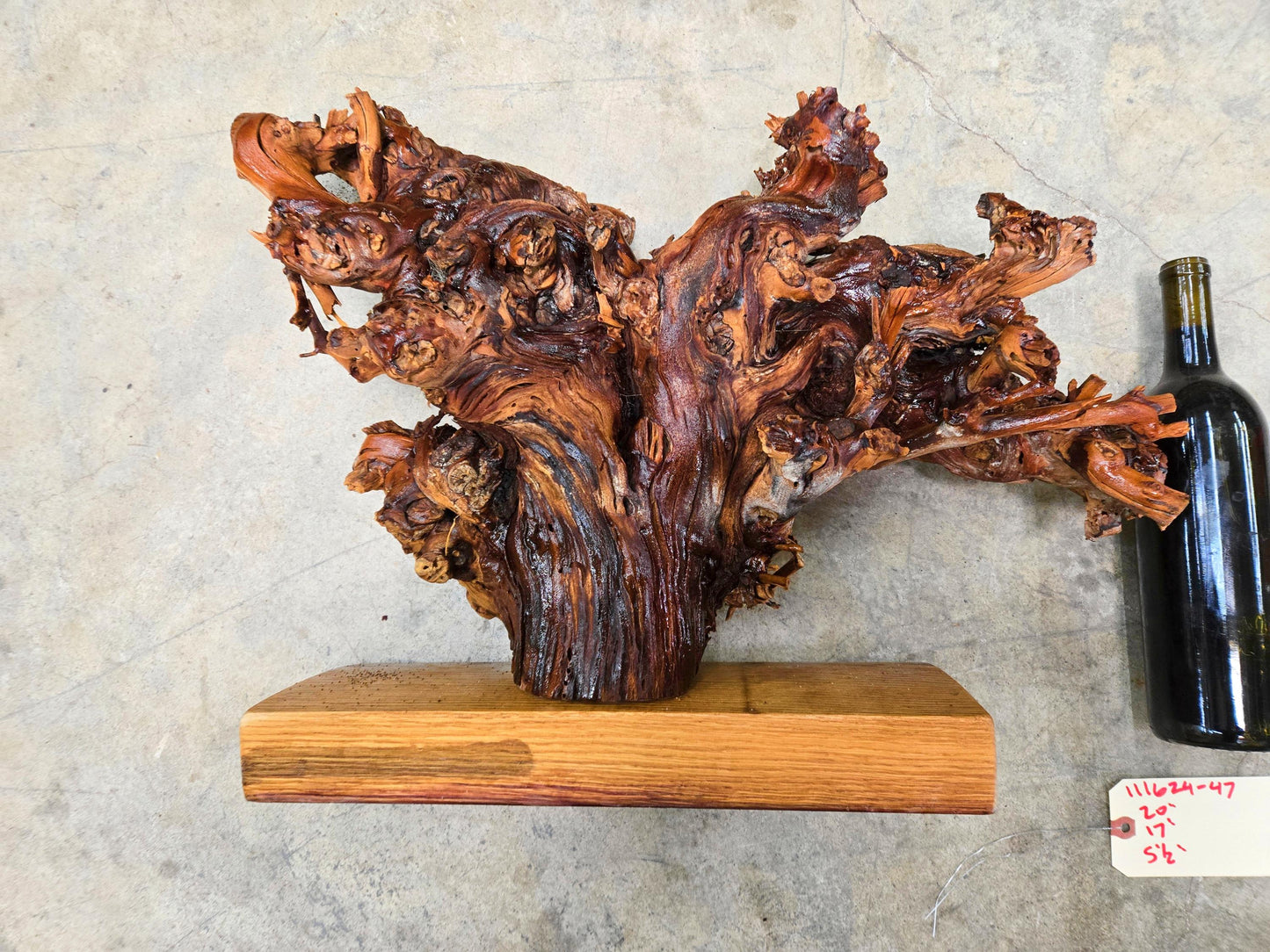 RARE Charles Krug Cabernet Grapevine Vine Art planted 1940 100% Recycled + Ready to Ship!! 111624-47