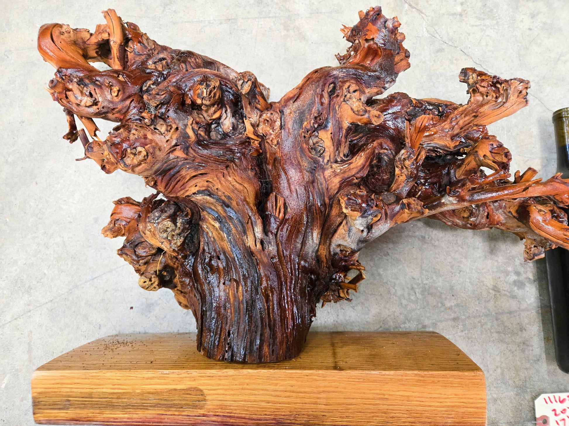 RARE Charles Krug Cabernet Grapevine Vine Art planted 1940 100% Recycled + Ready to Ship!! 111624-47