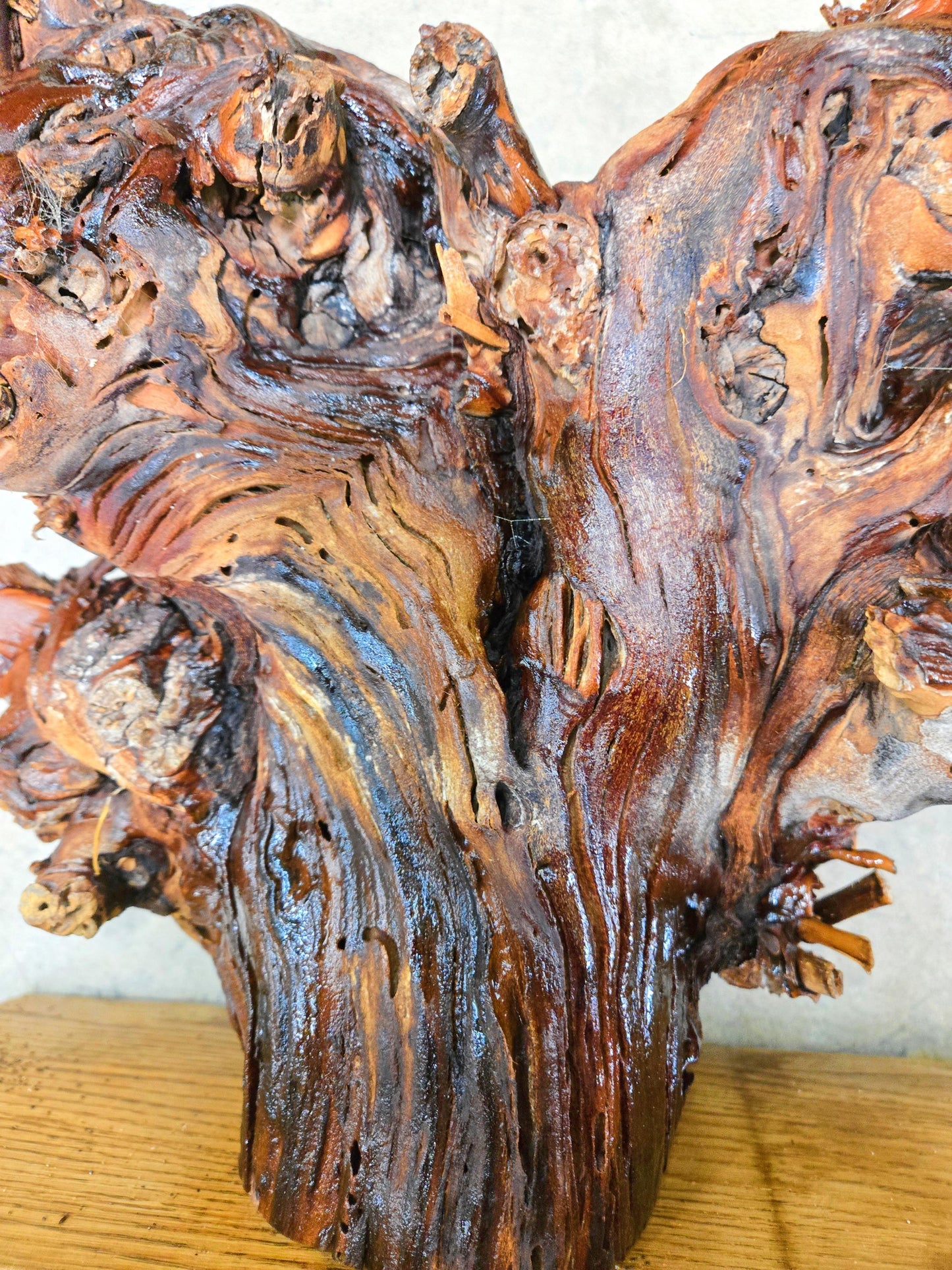 RARE Charles Krug Cabernet Grapevine Vine Art planted 1940 100% Recycled + Ready to Ship!! 111624-47