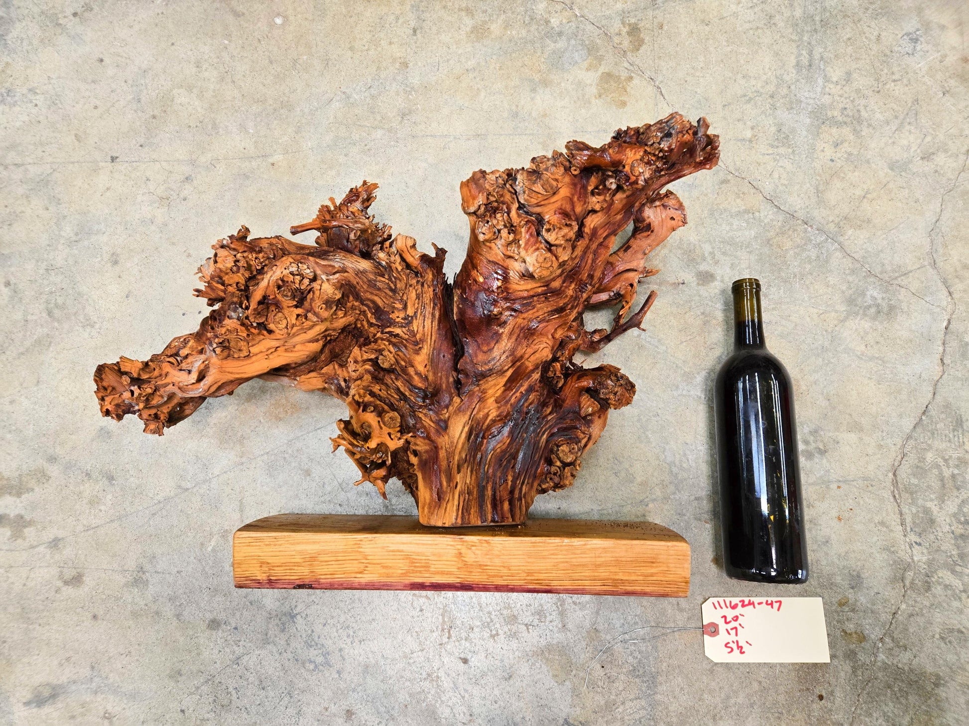 RARE Charles Krug Cabernet Grapevine Vine Art planted 1940 100% Recycled + Ready to Ship!! 111624-47