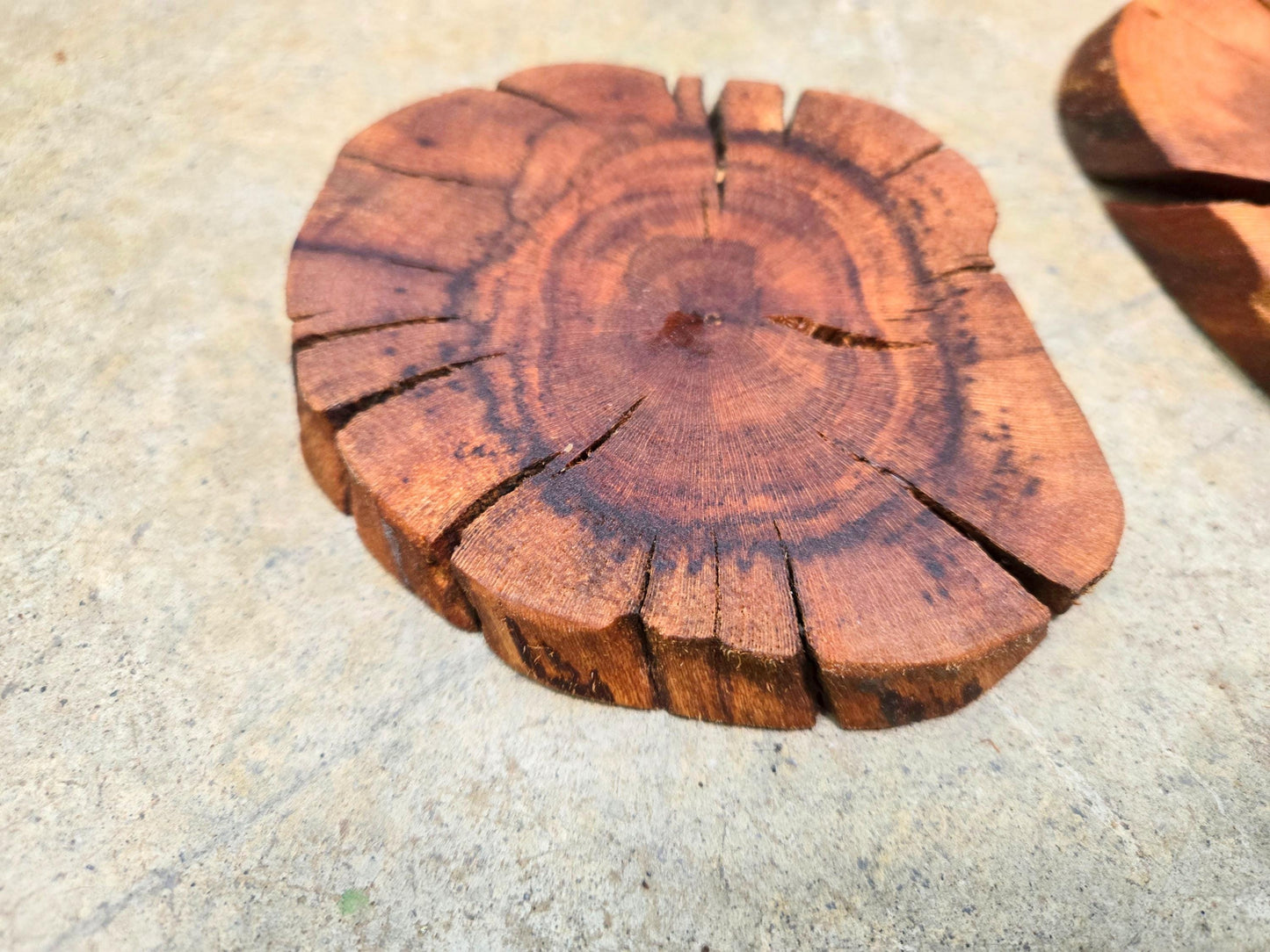 Silver Oak Grapevine Coasters Set of 4 + 1 XL for Bottle - Made From Retired Silver Oak Grapevine - 100% Recycled + Ready to Ship! 111624-54