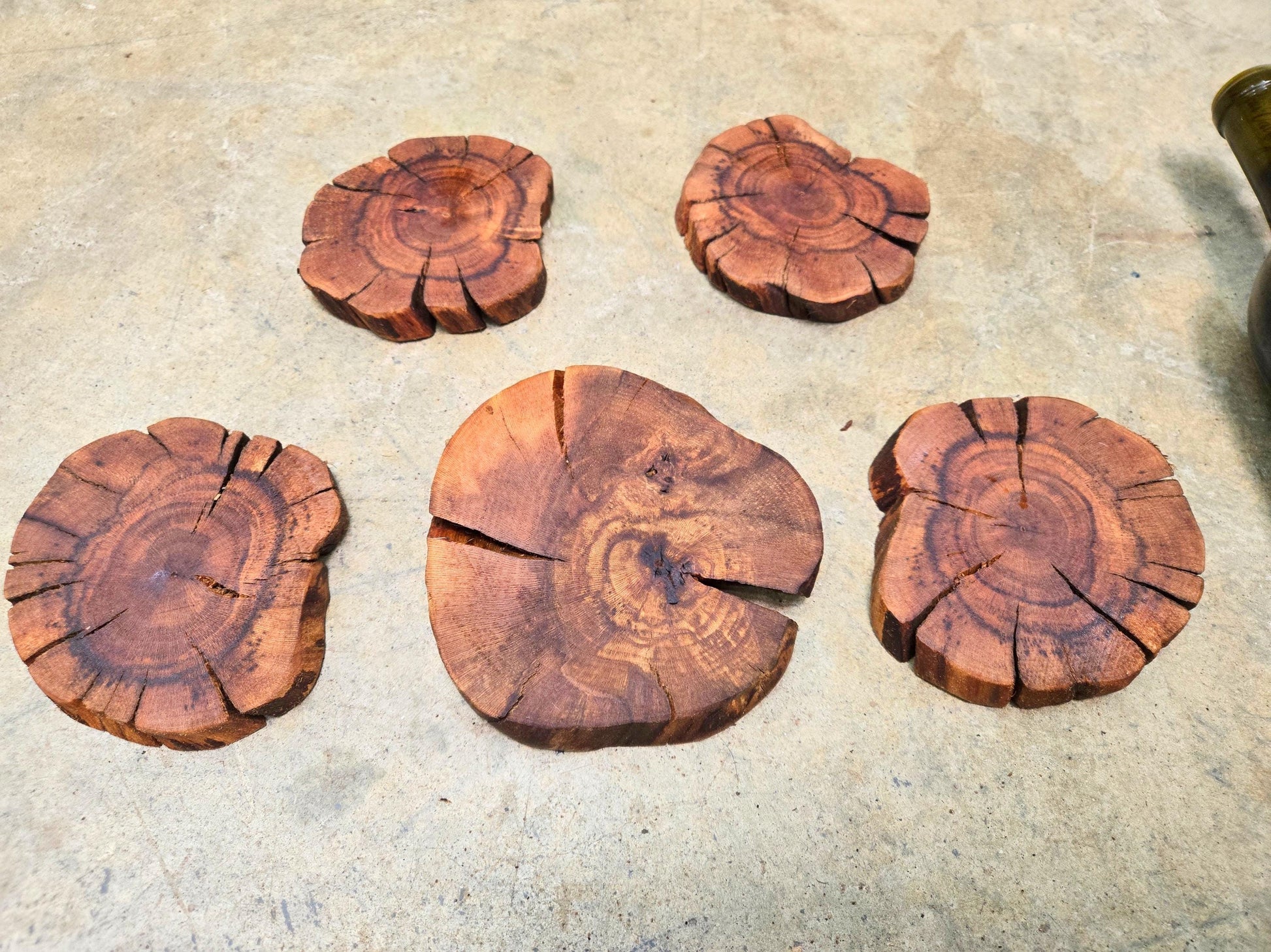 Silver Oak Grapevine Coasters Set of 4 + 1 XL for Bottle - Made From Retired Silver Oak Grapevine - 100% Recycled + Ready to Ship! 111624-54