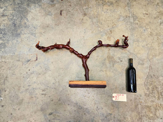 RARE Caymus Grapevine Art made from retired Sonoma Cabernet Grapevine 100% Reclaimed + Ready to Ship! 111624-81