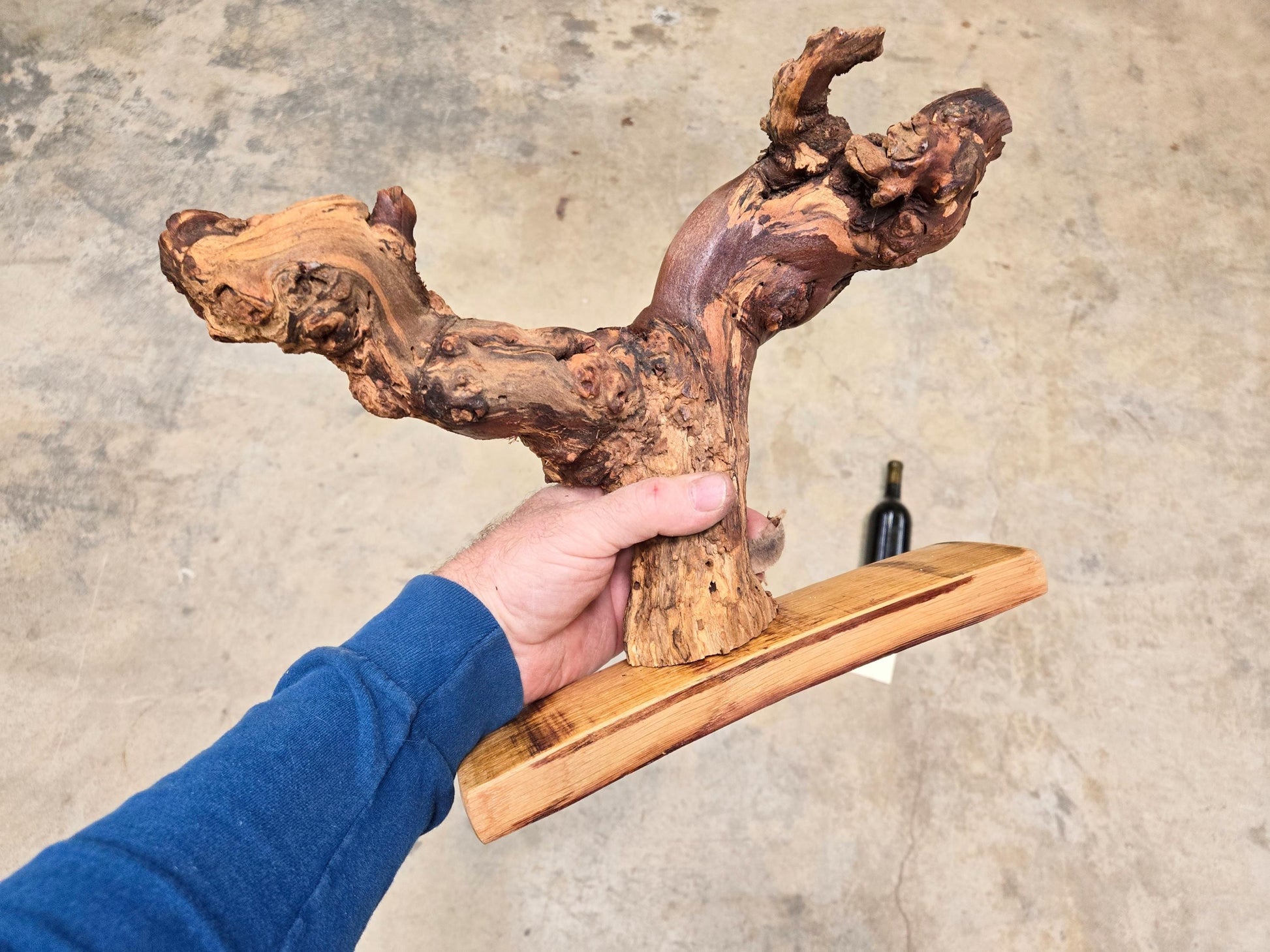 RARE Caymus Grapevine Art made from retired Sonoma Zinfandel vine 100% Reclaimed + Ready to Ship! 111624-80